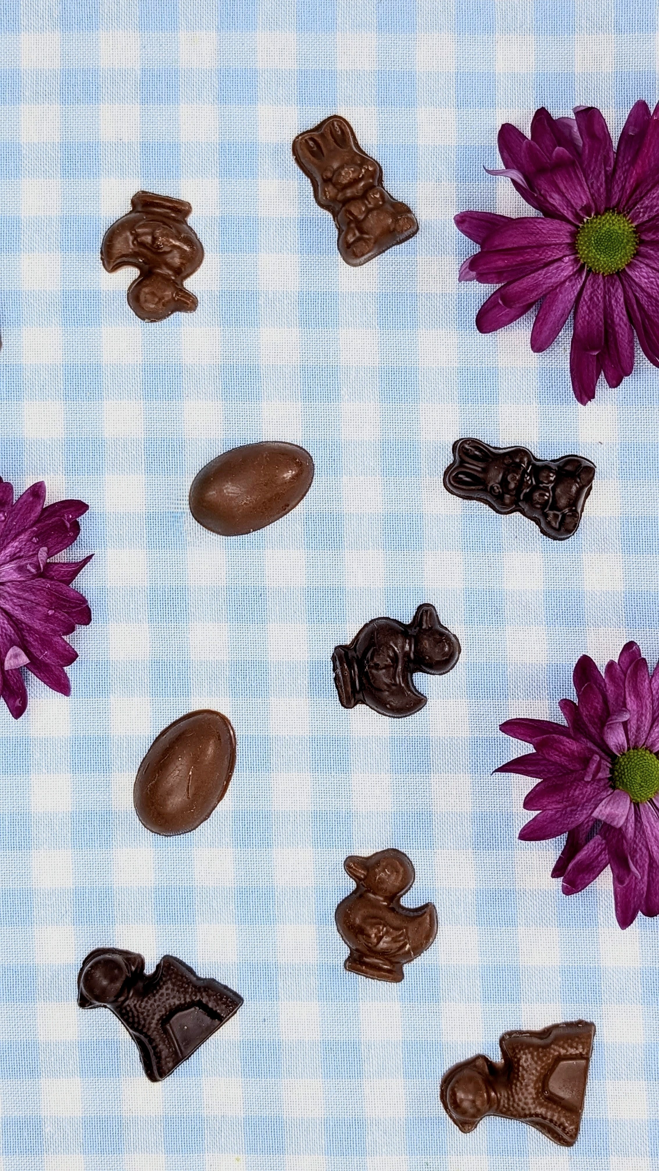 Sachet de Friture Chocolat