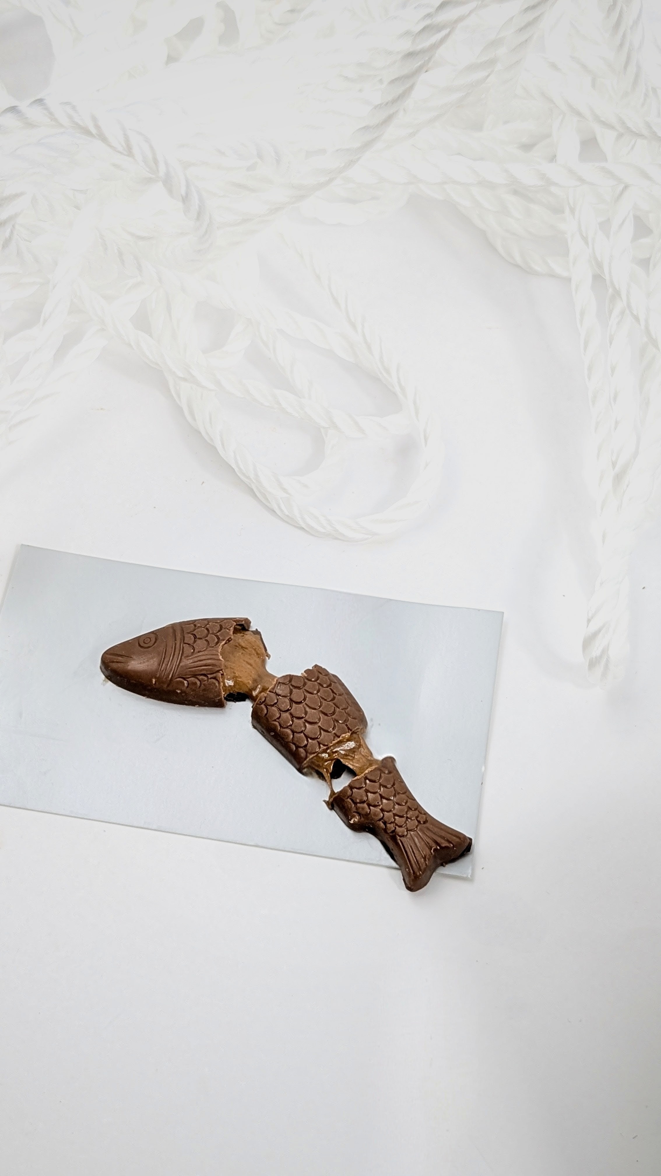 Les truitinnes praliné noisette