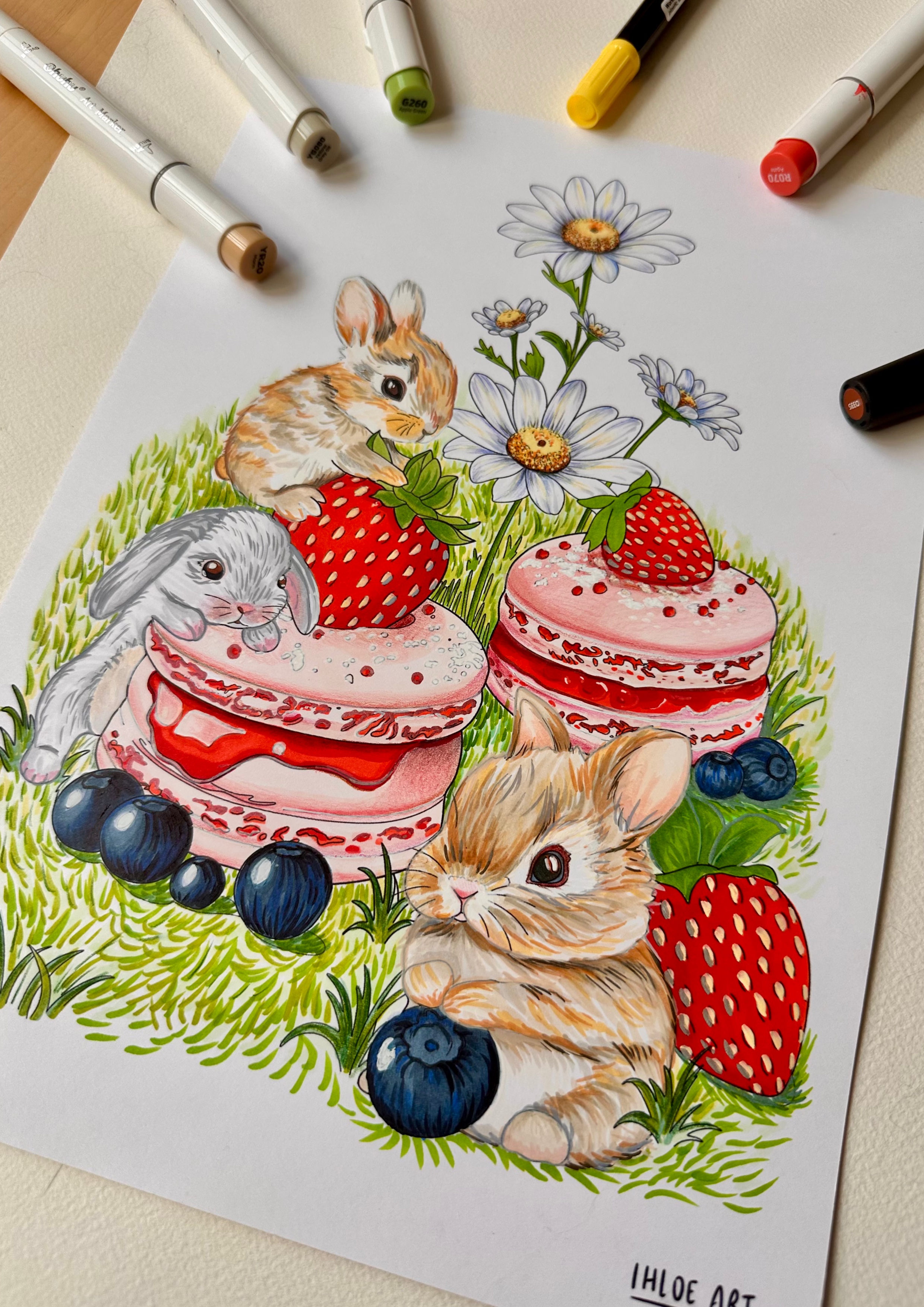 Lapin Macaron-fraise