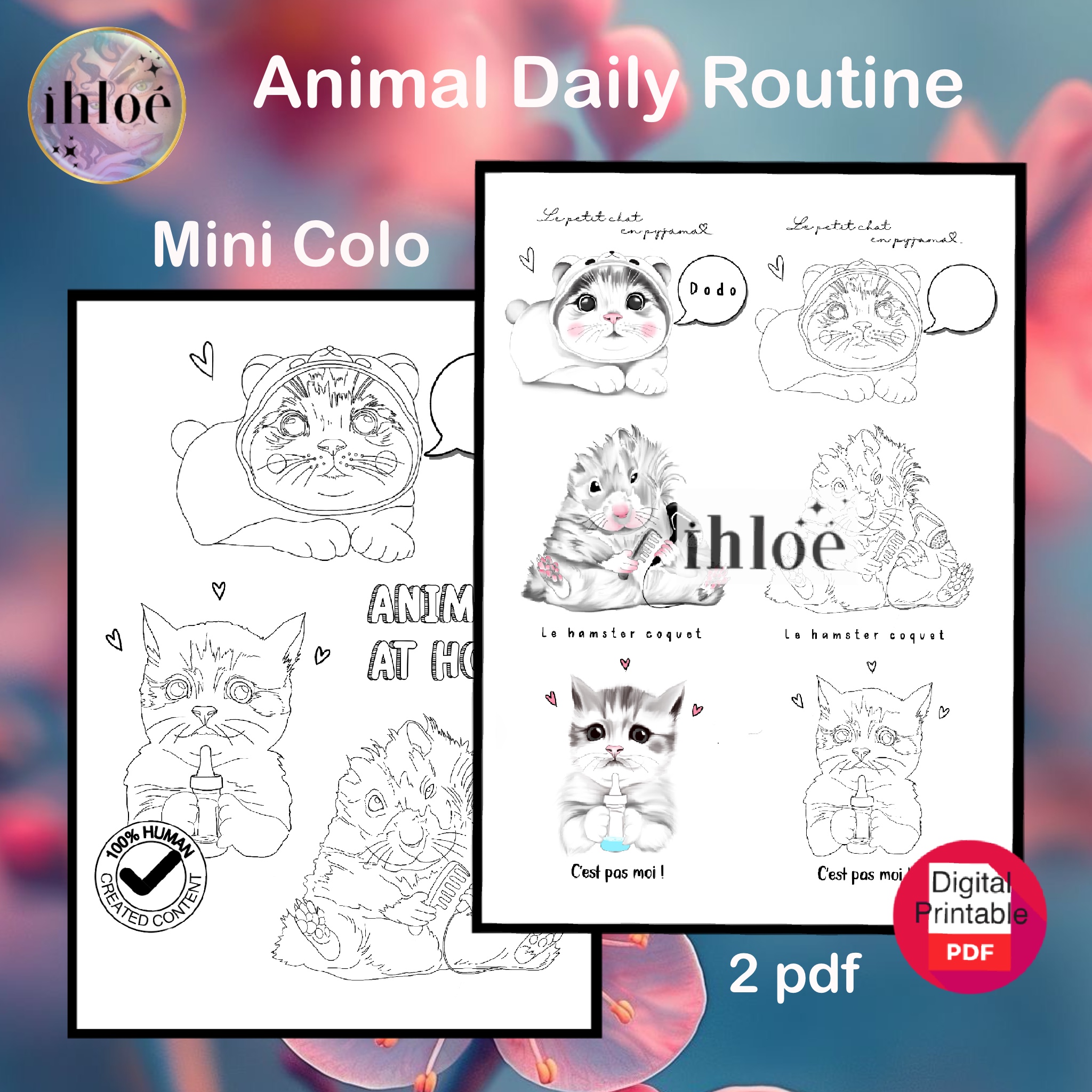 Animal Daily Routines