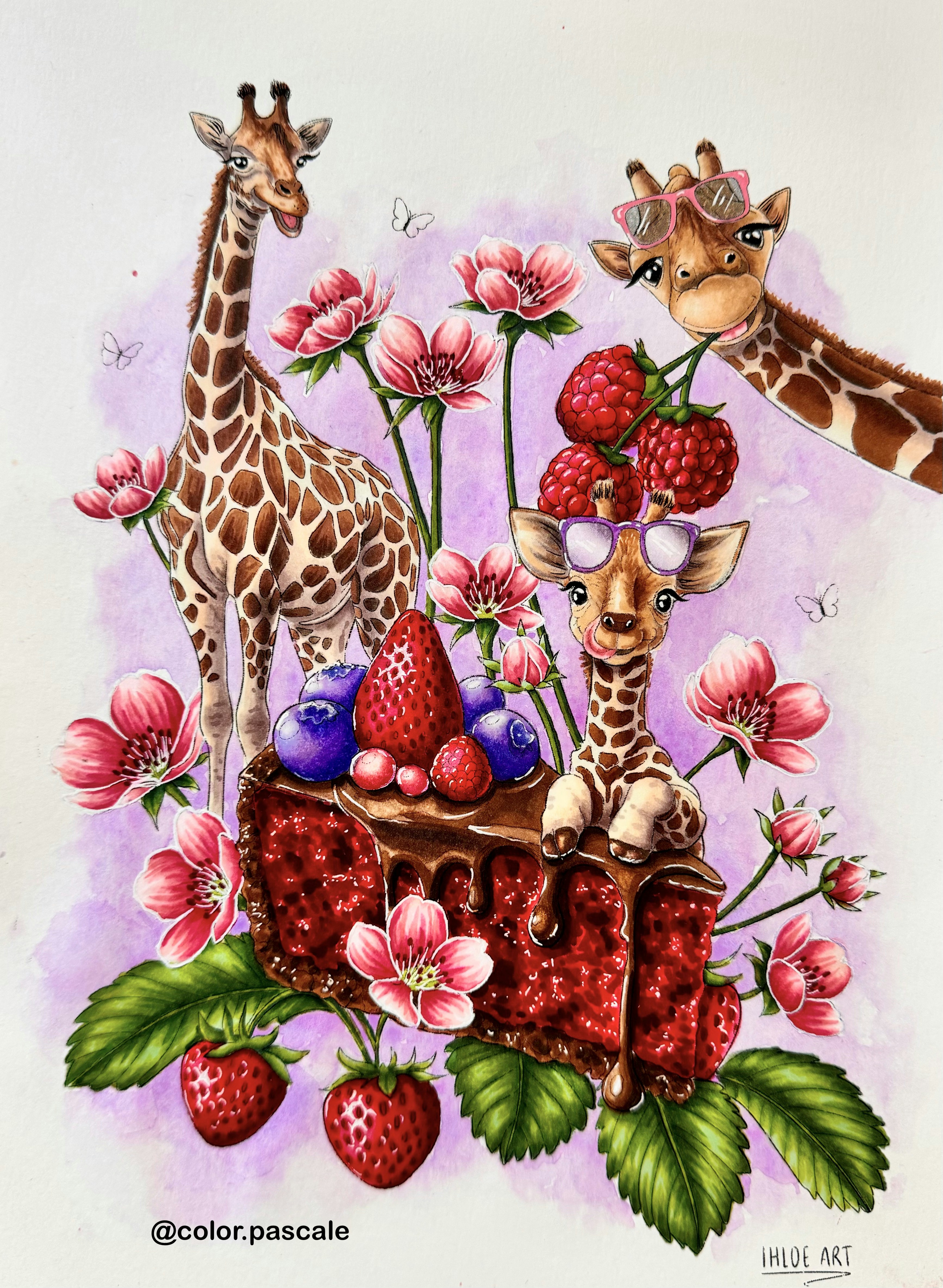 Girafe Cheesecake