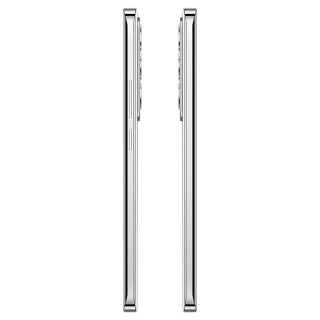 OPPO Reno 12 5G (Astro Silver, 256 GB)  (8 GB RAM)