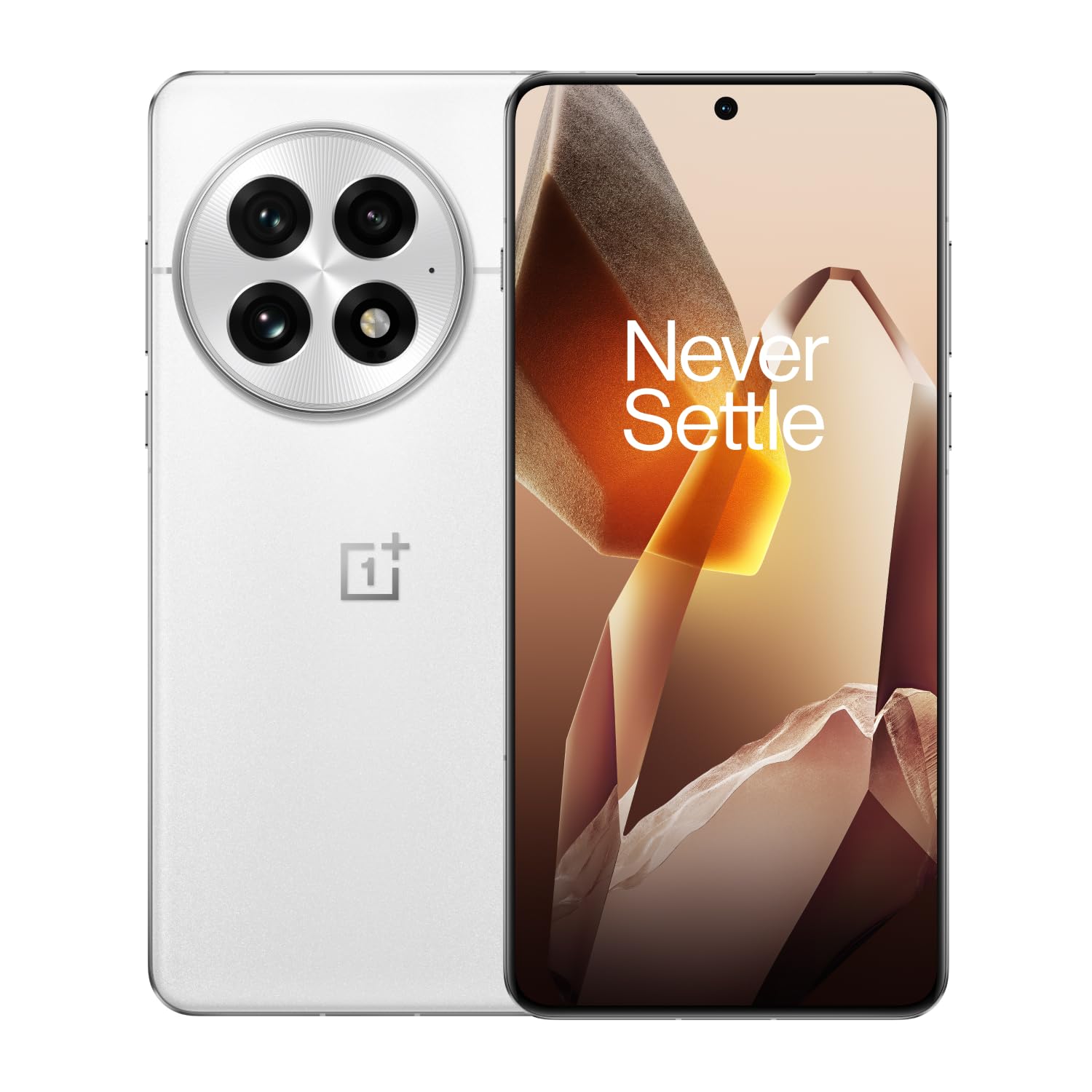 OnePlus 13 (Arctic Dawn, 512 GB) (16 GB RAM)