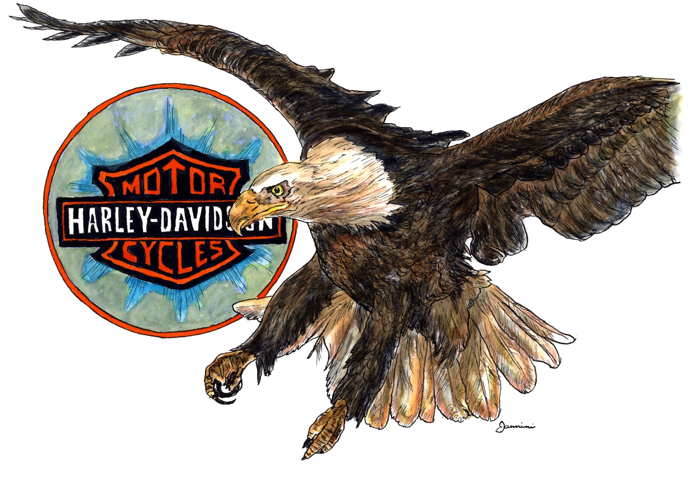 American Bald Eagle Harley Davidson
