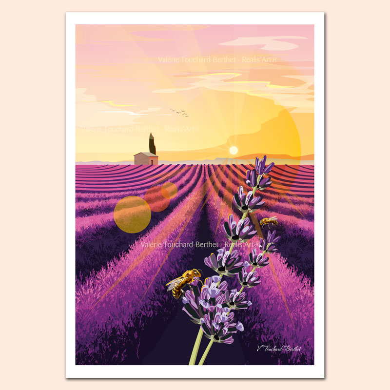 Affiche d'Art champs lavande 30x40cm