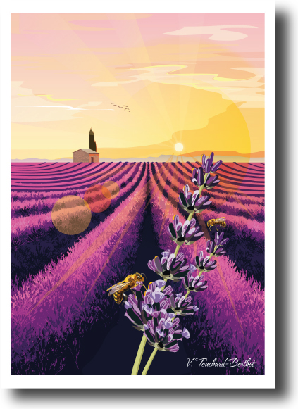 Cartes postales x5- Lot 4