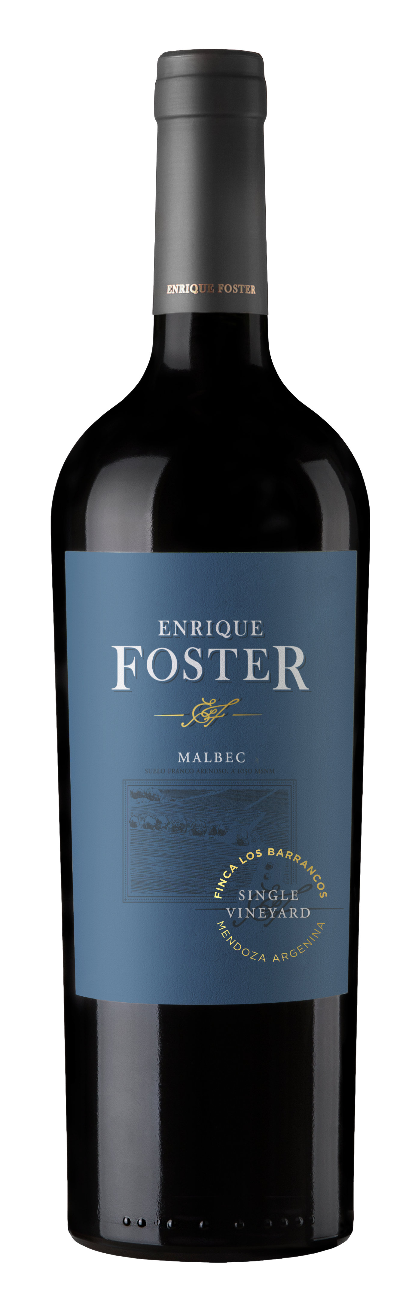  Enrique Foster Single Vineyard Los Barrancos