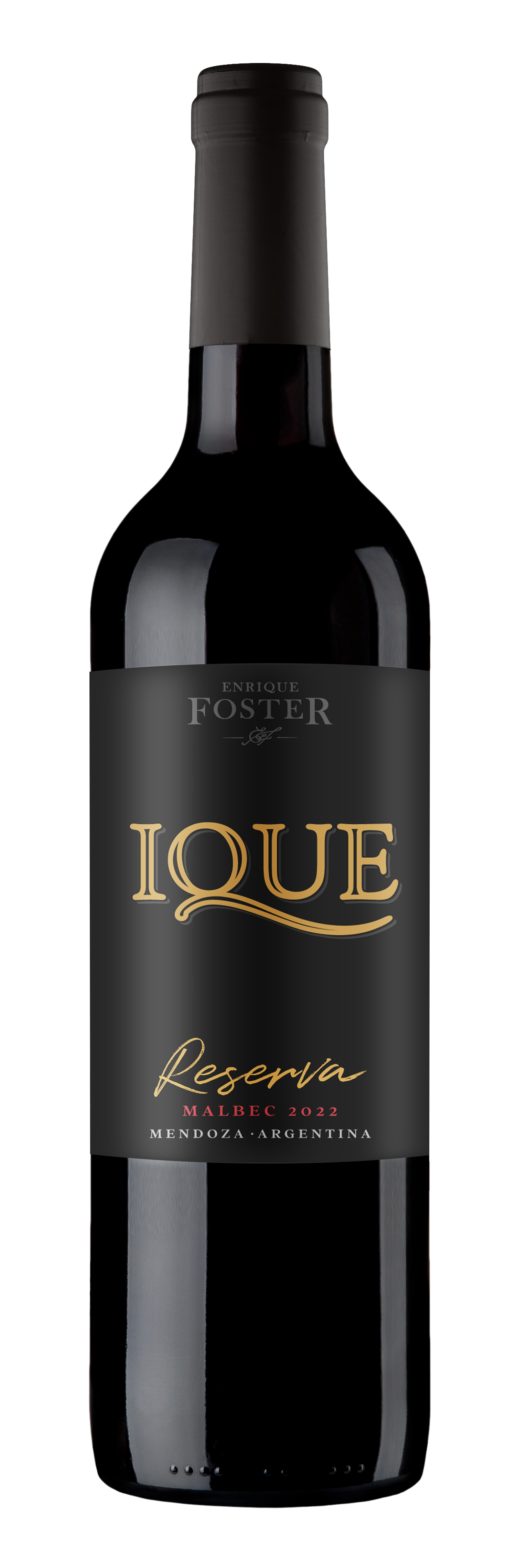 Enrique Foster Ique Reserva Malbec