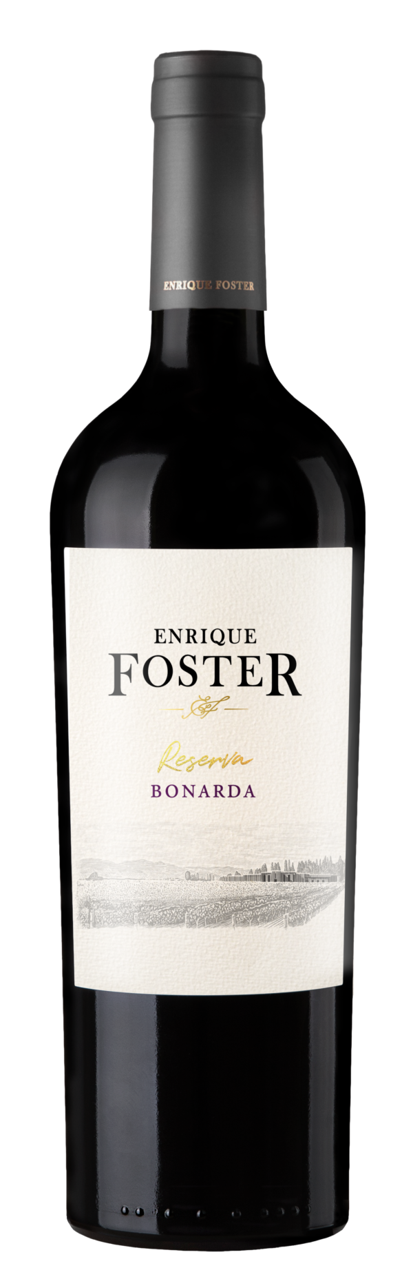 Enrique Foster Reserva