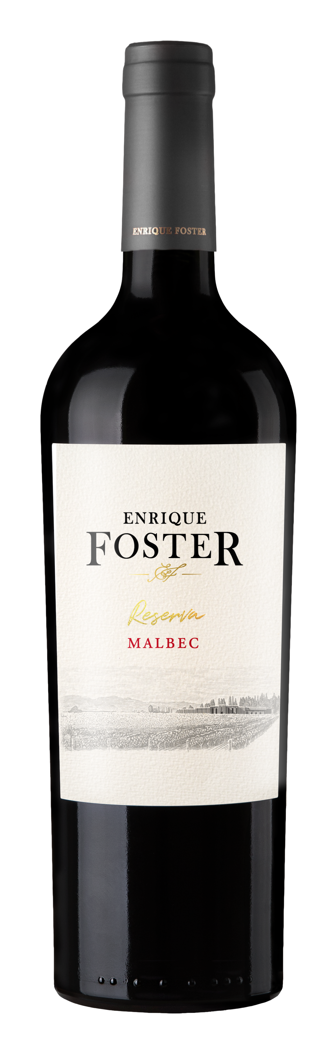 Enrique Foster Reserva