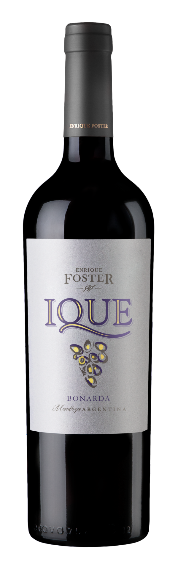 Enrique Foster Ique