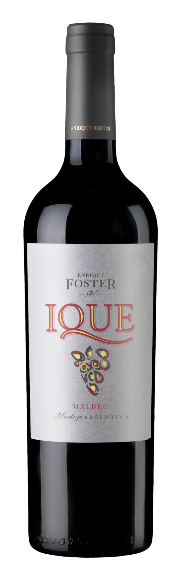 Enrique Foster Ique