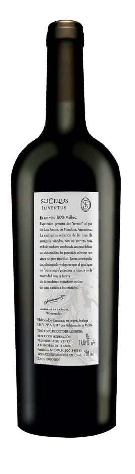 Sucellus Iuventus