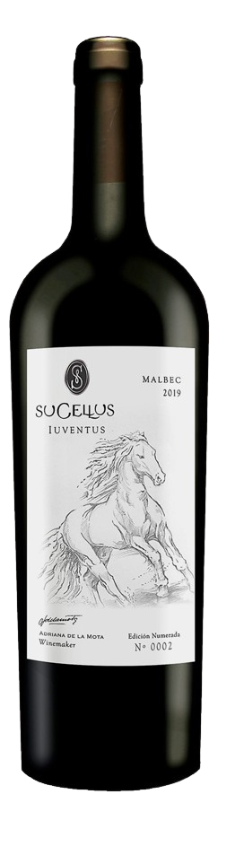 Sucellus Iuventus