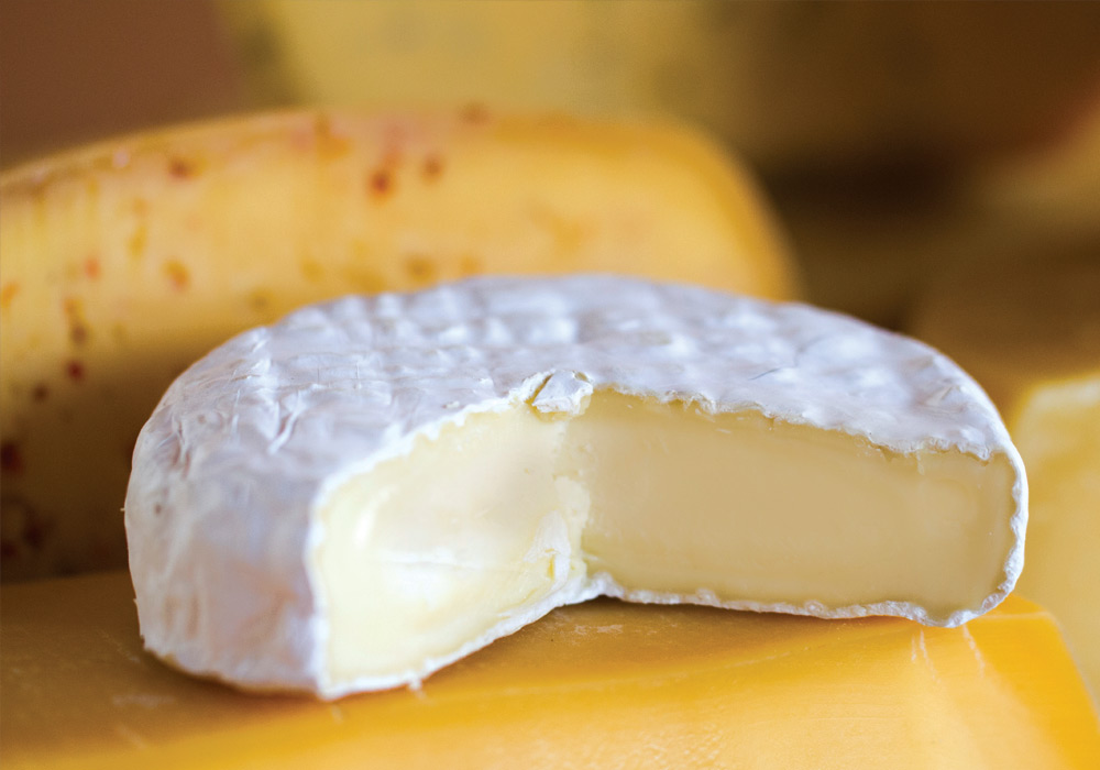 FERMIER Camembert 