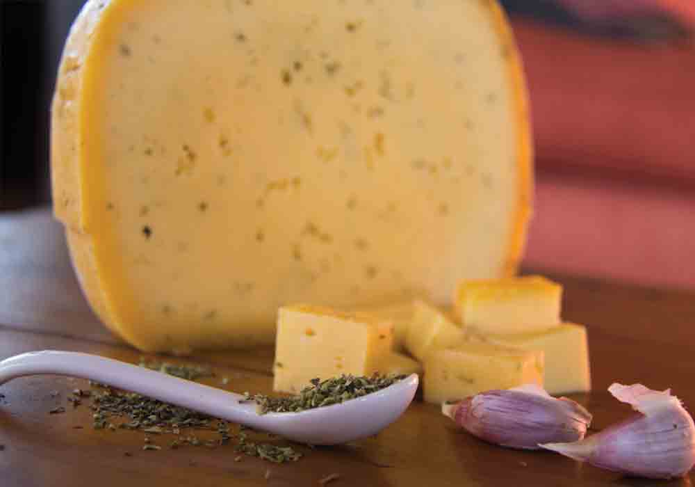 FERMIER Criollos