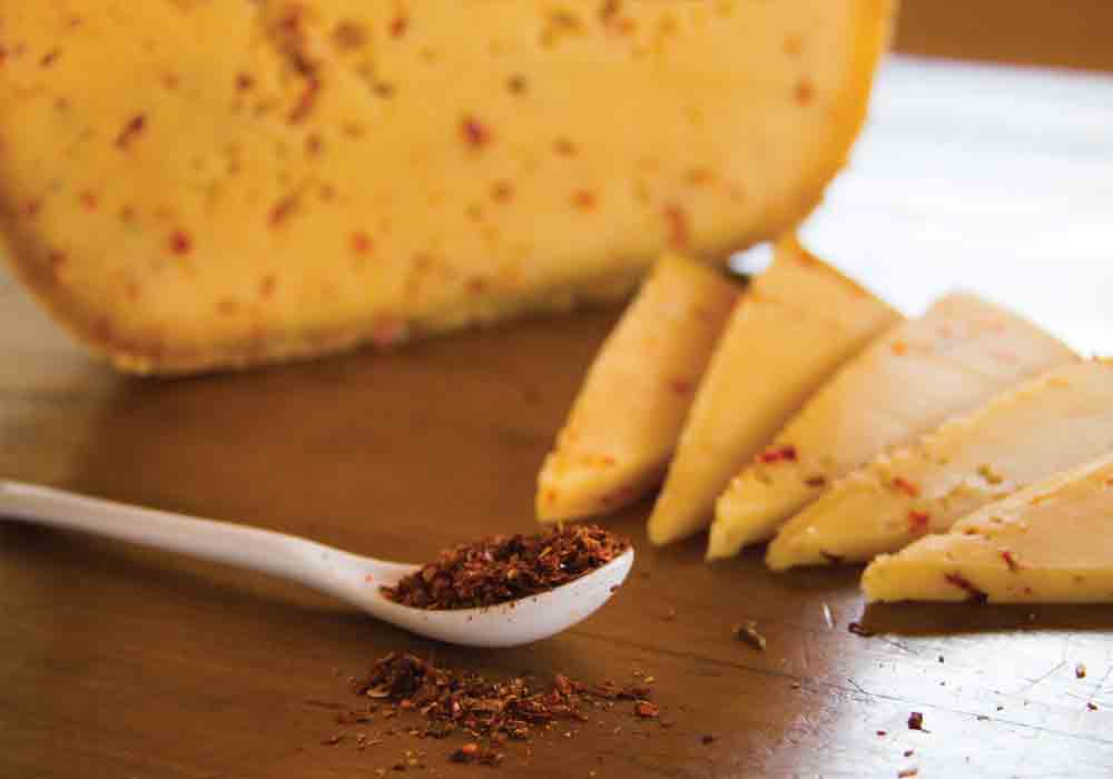 FERMIER Criollos