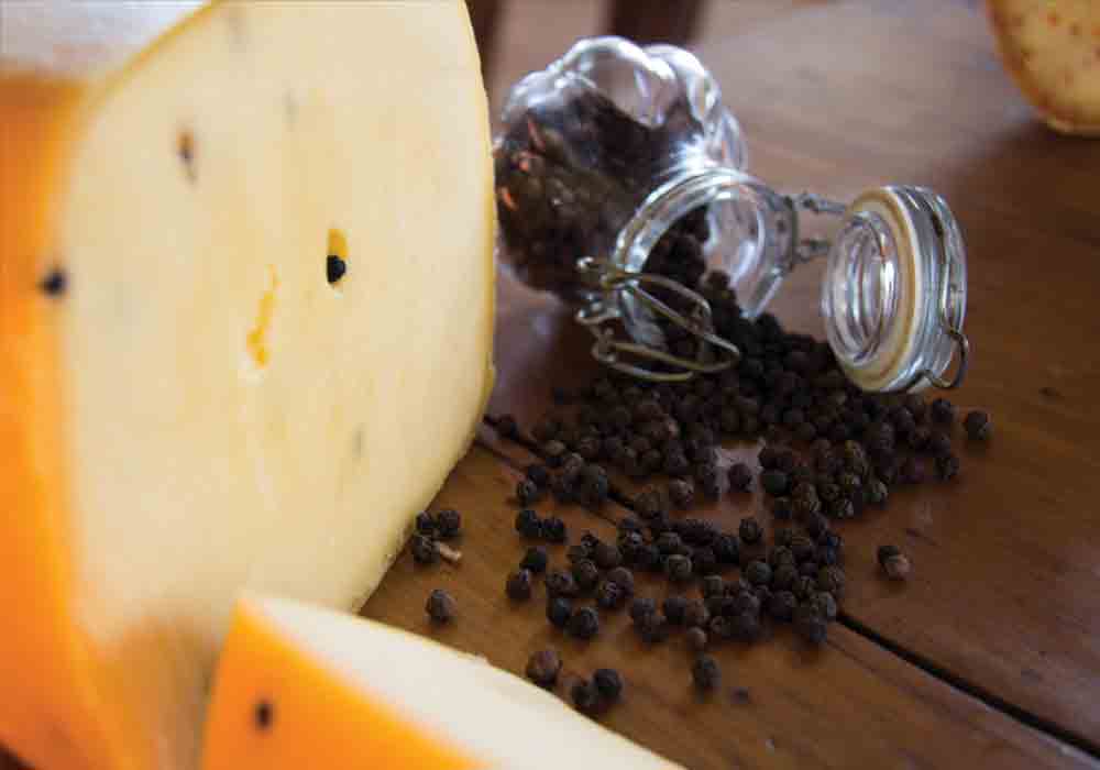 FERMIER Criollos