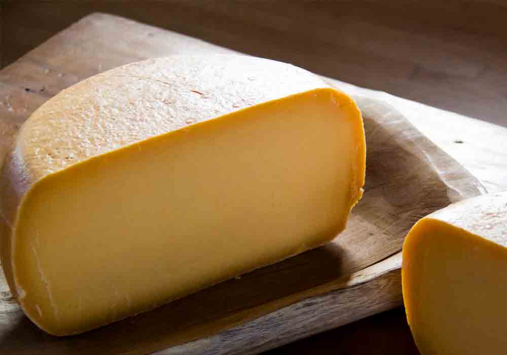 FERMIER Fontina