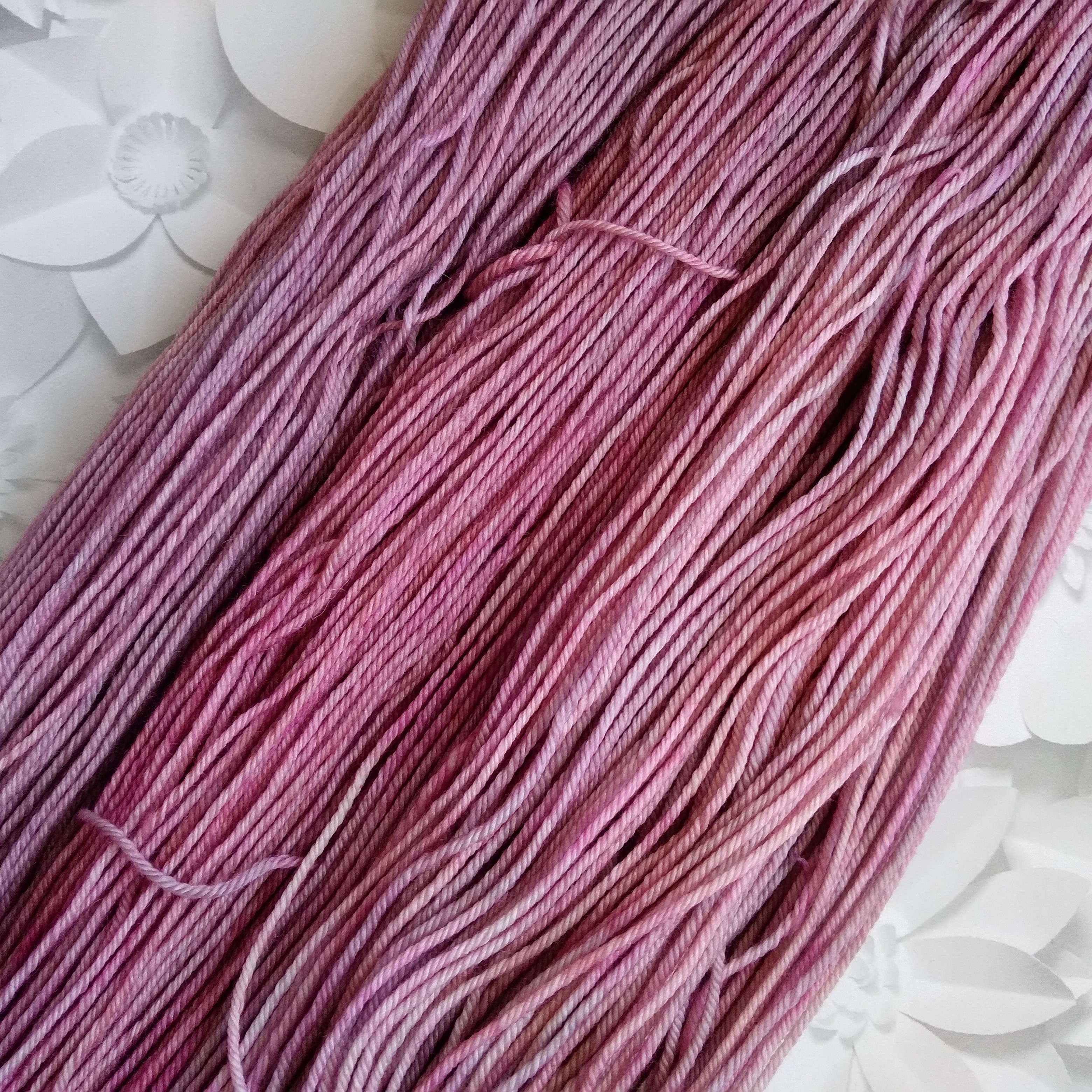 DK  Pink Star Cherry