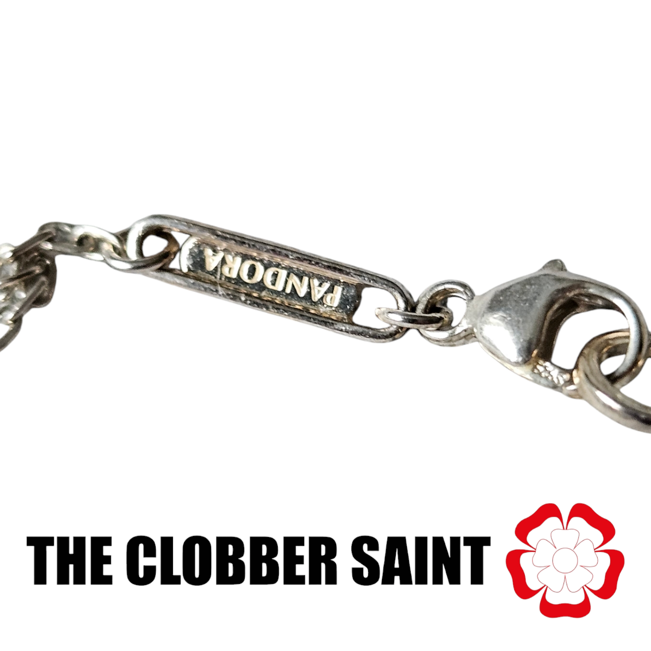 Pandora infinite necklace 