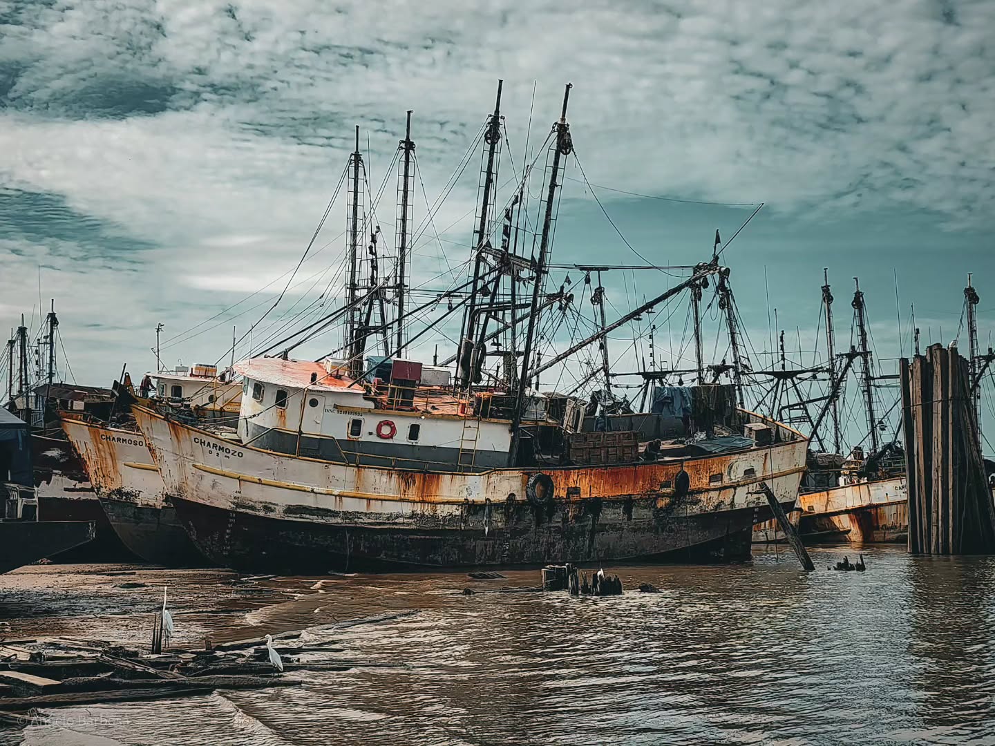 Fotografia emoldurada de porto de barcos