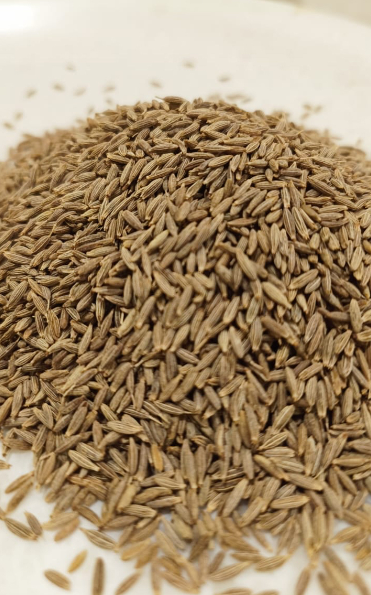 cumin seeds