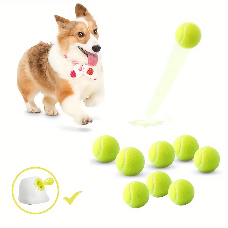 Vibrant Dog Play Balls