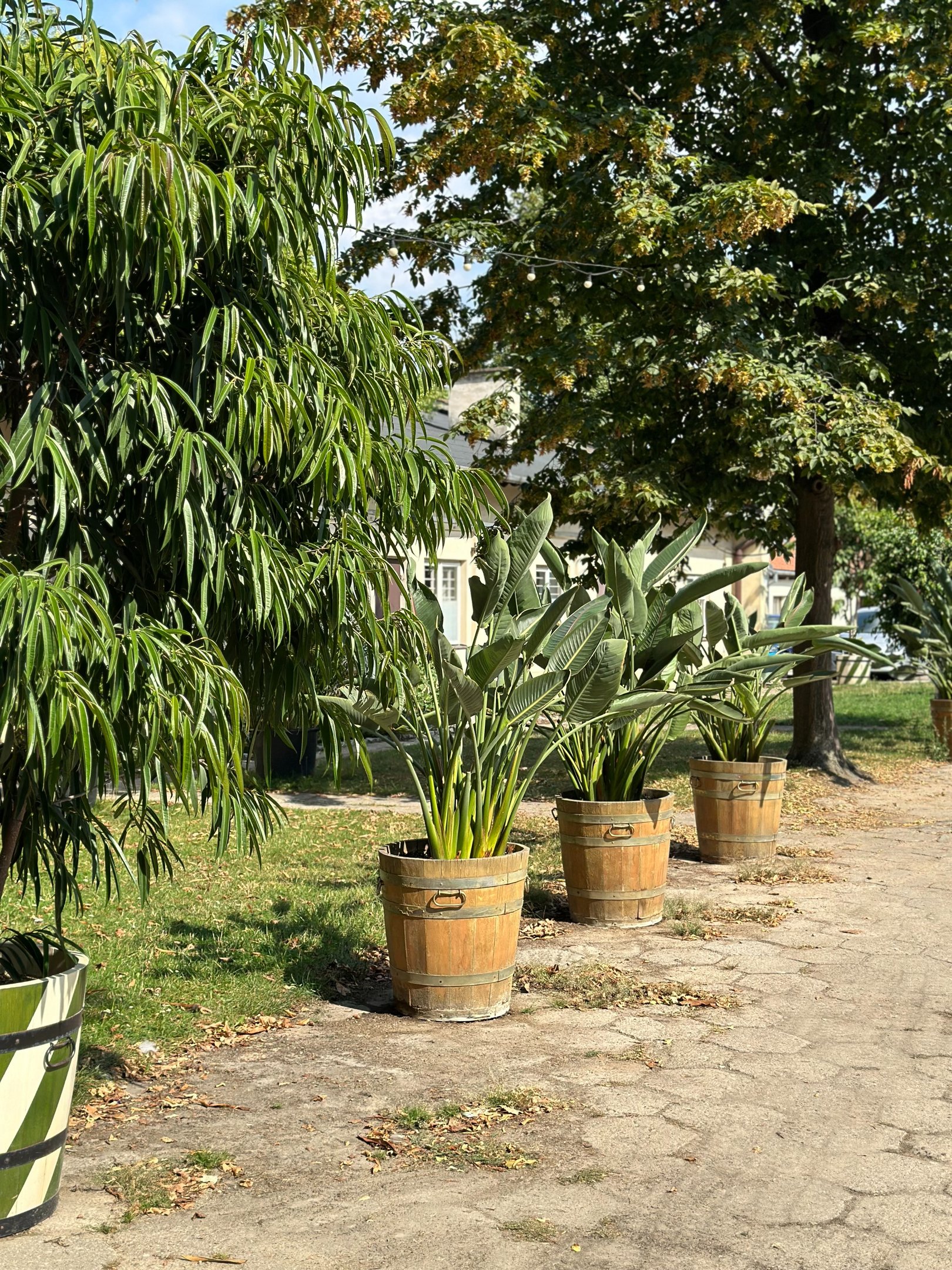 Spacery tematyczne  Spacer „Włoska Warszawa”