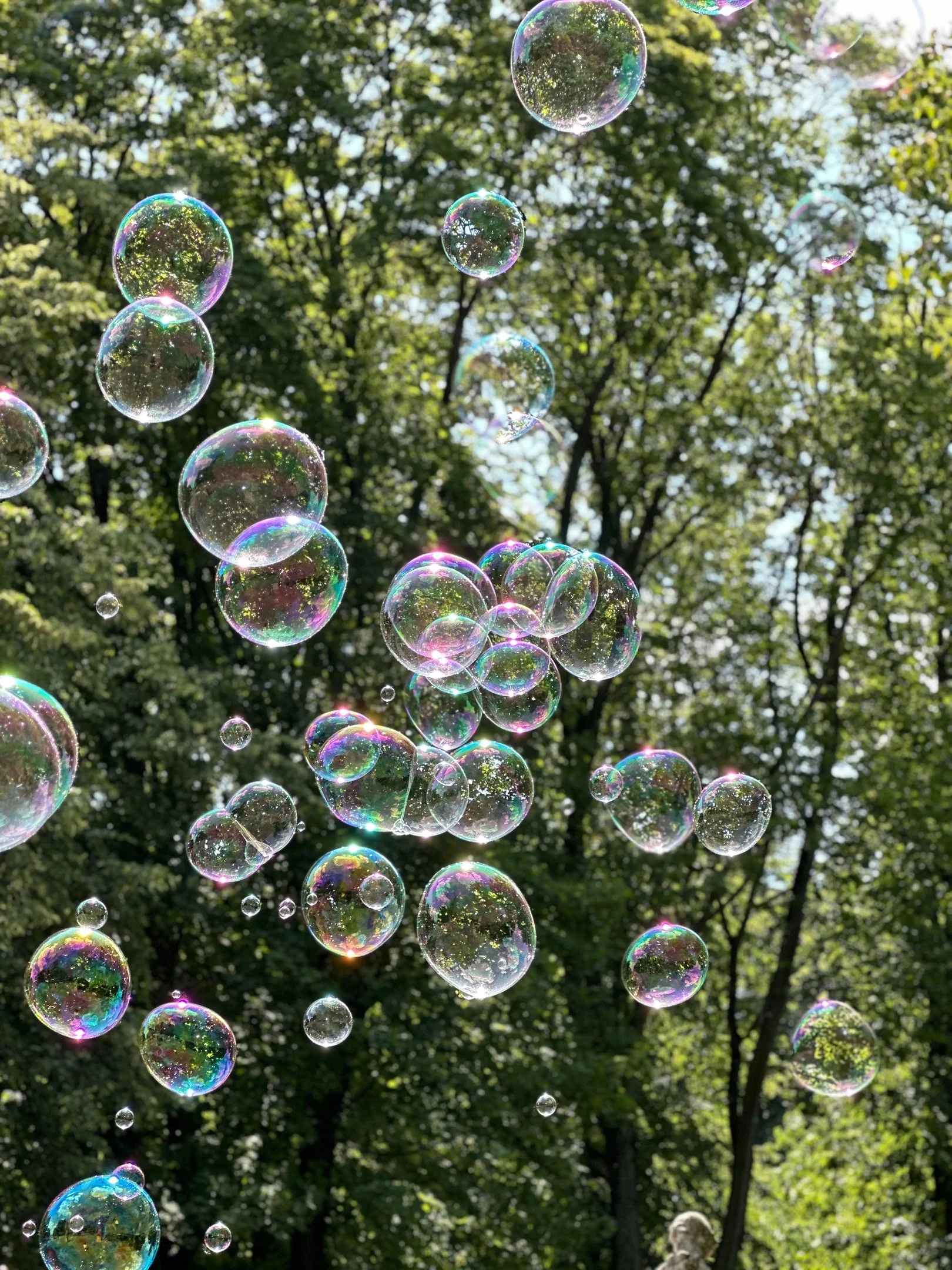 Spacery tematyczne- Warszawska historia zdrowia i higieny