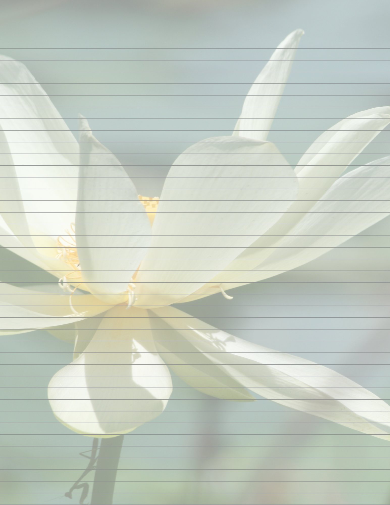 White Lilly Flower Stationery - Download and Print