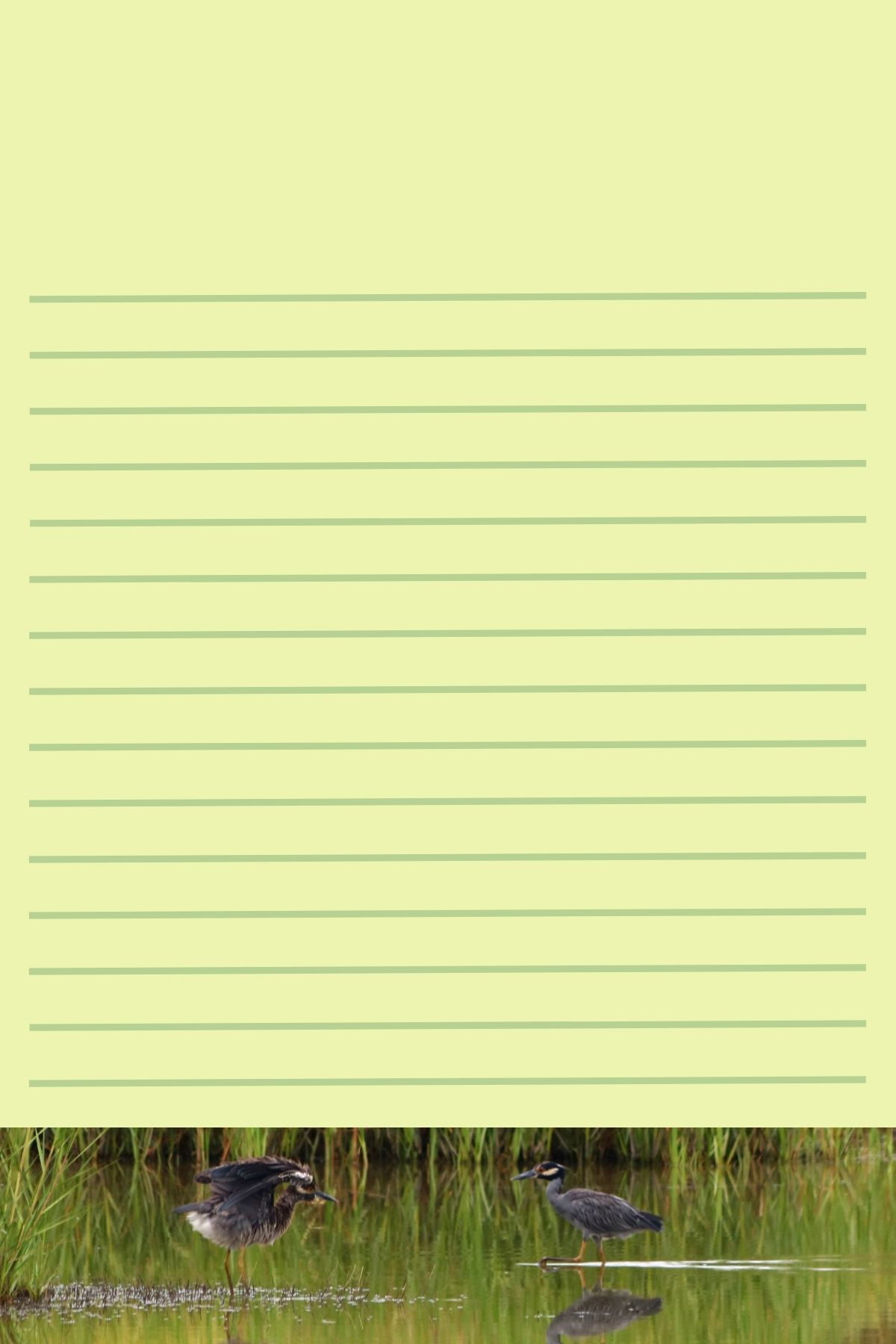 Stationery With Nature Designs