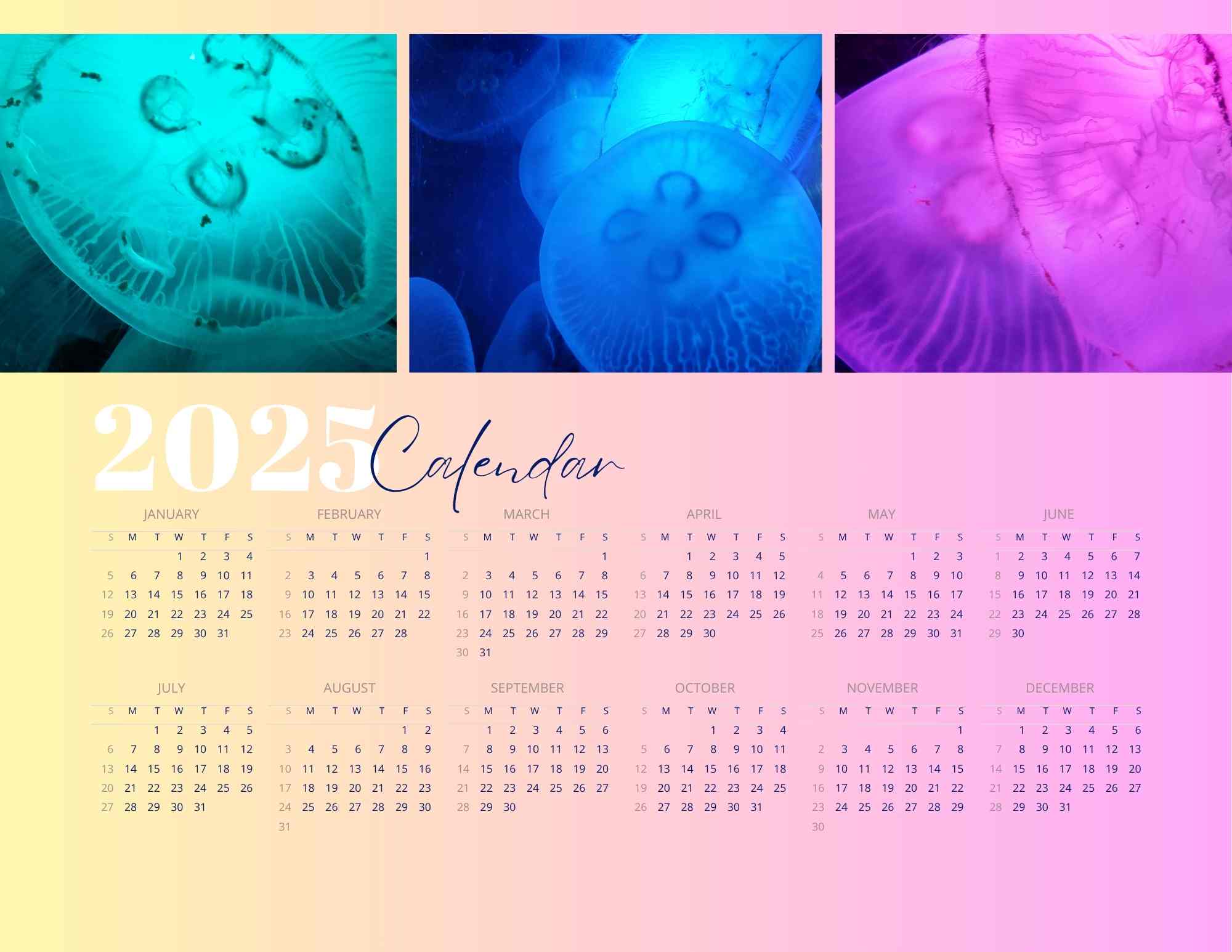 Jellyfish 2025 Yearly Calendar