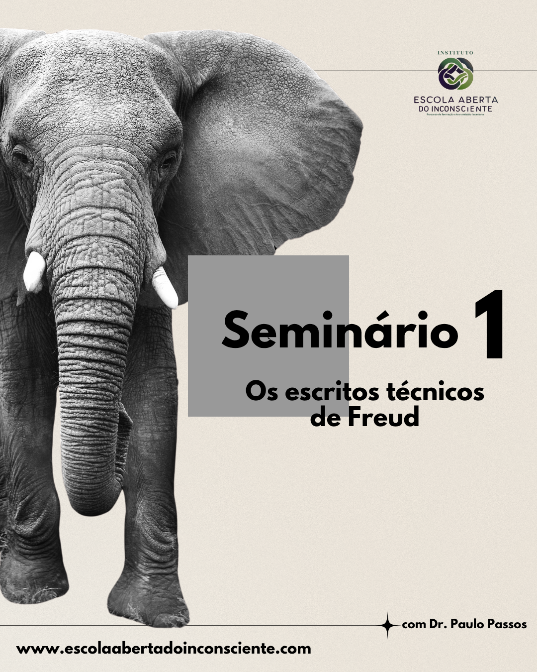 Seminário 1 de Lacan: Os escritos técnicos de Freud