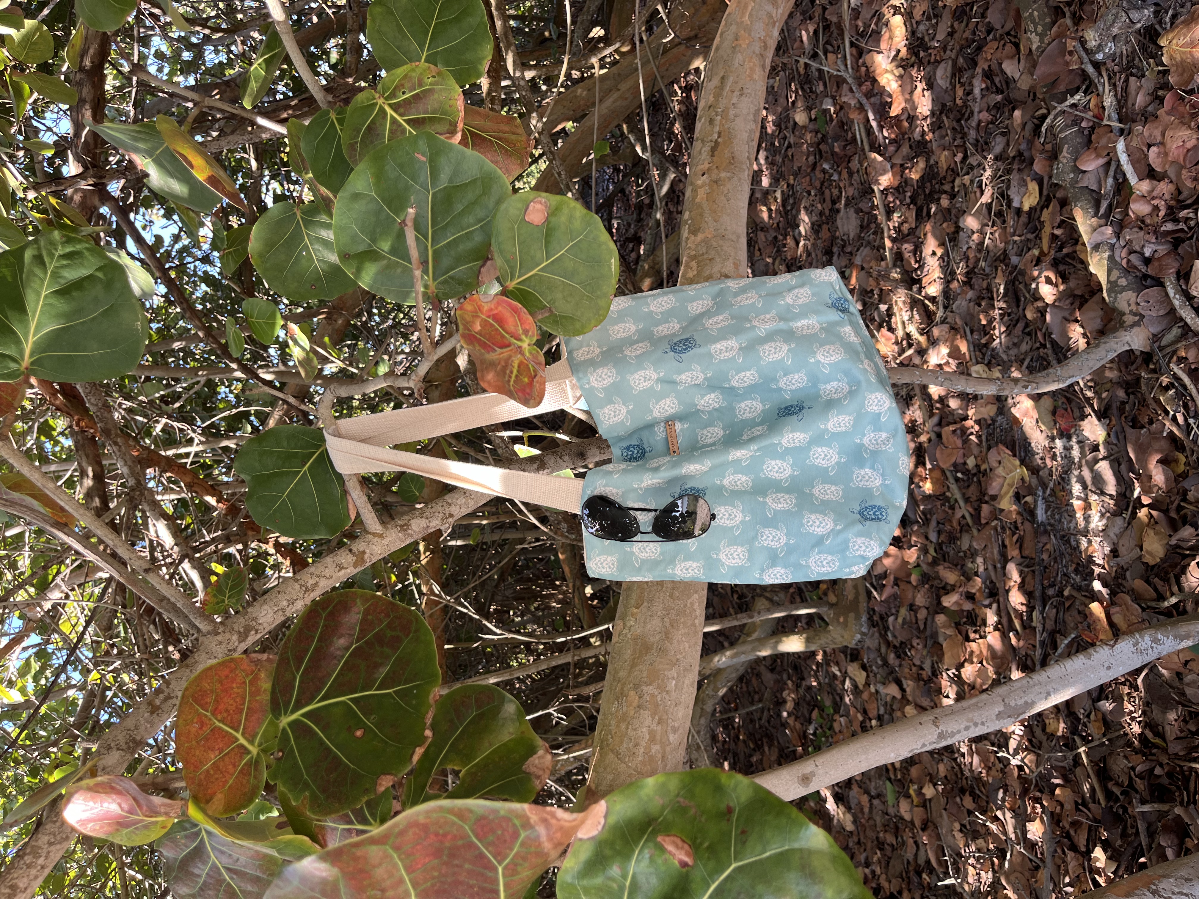 Turtle Tote