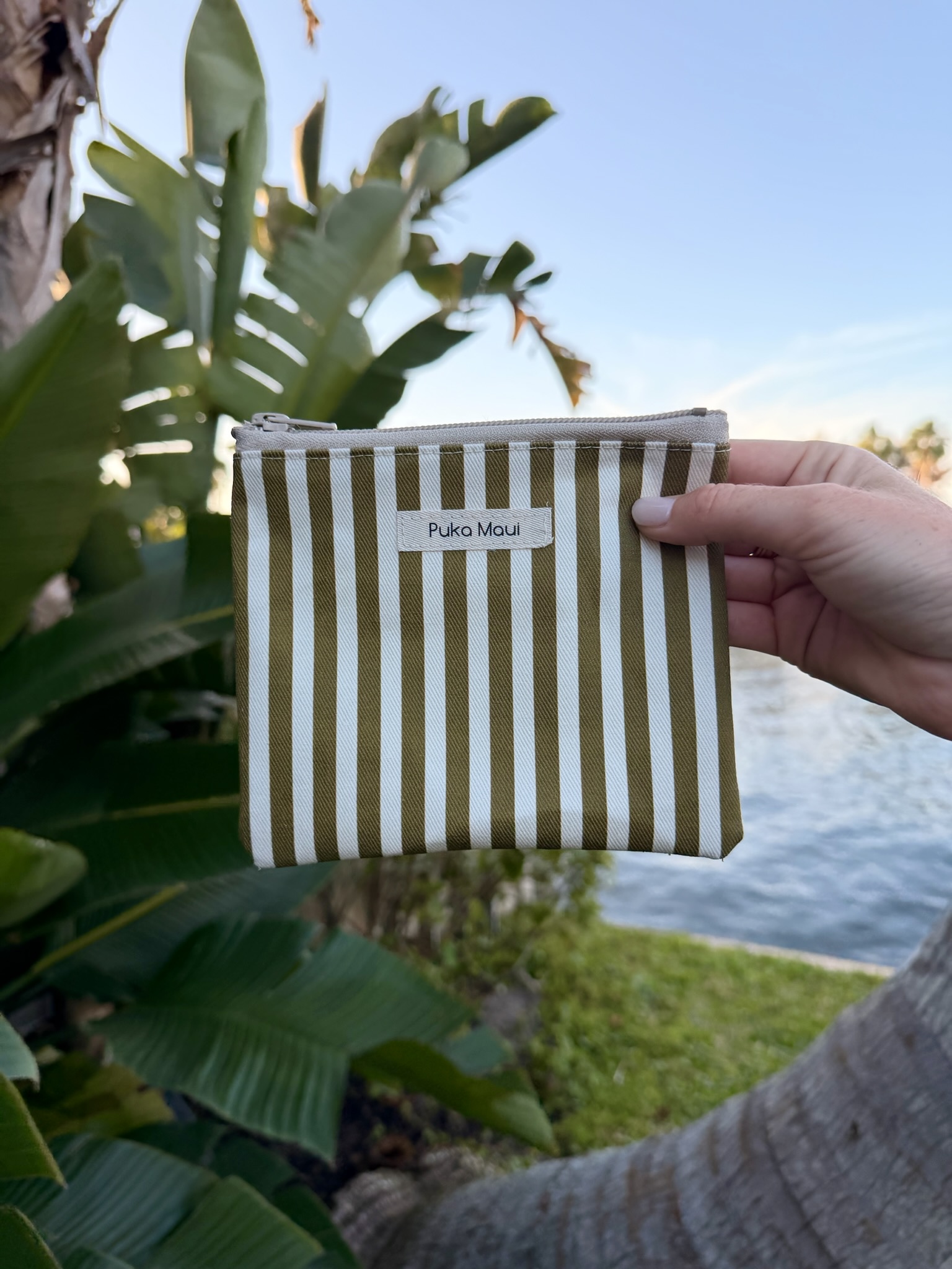 Olive Striped Mini Pouch