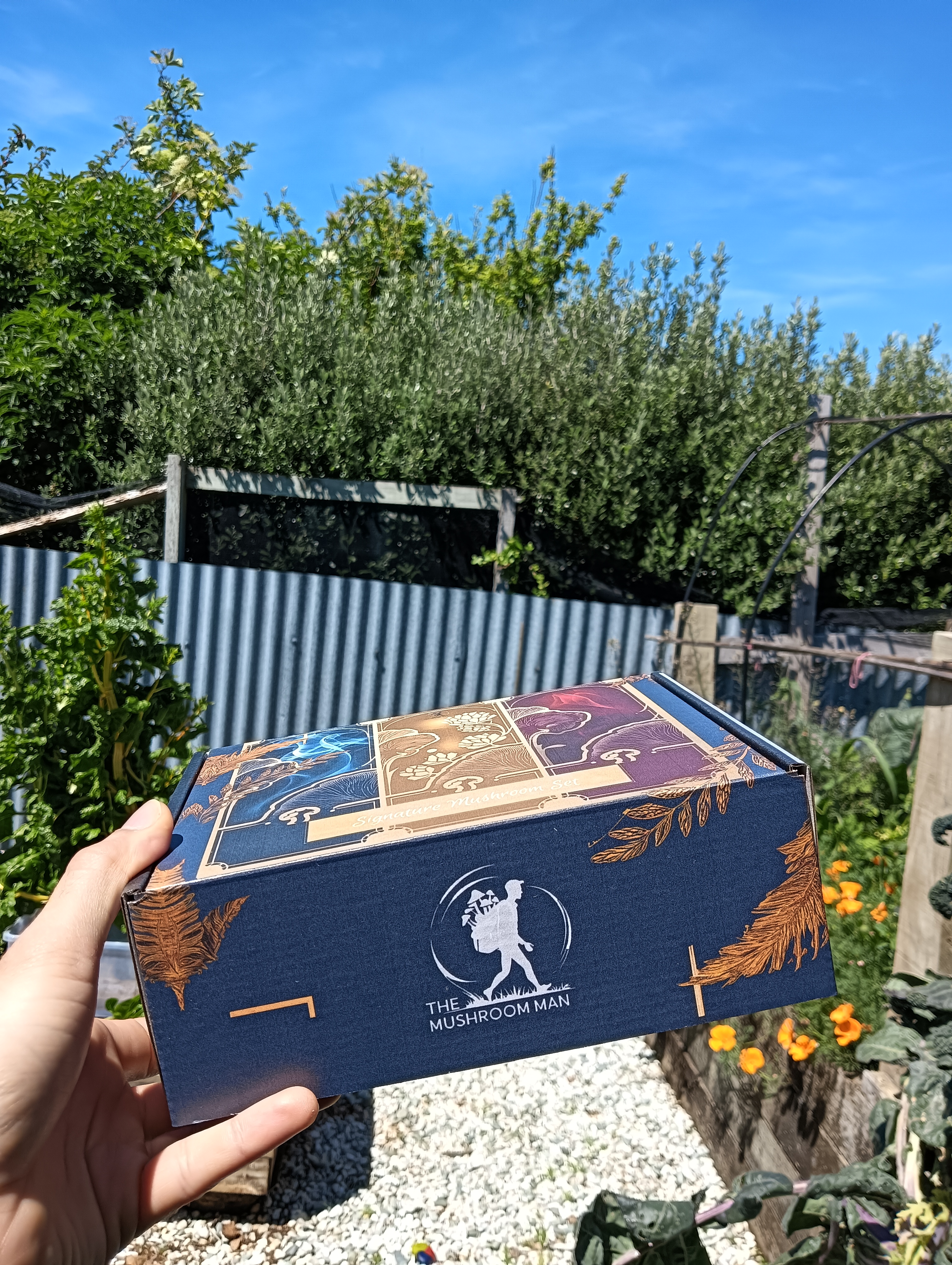 Signature Mushroom Gift Box - Jerky