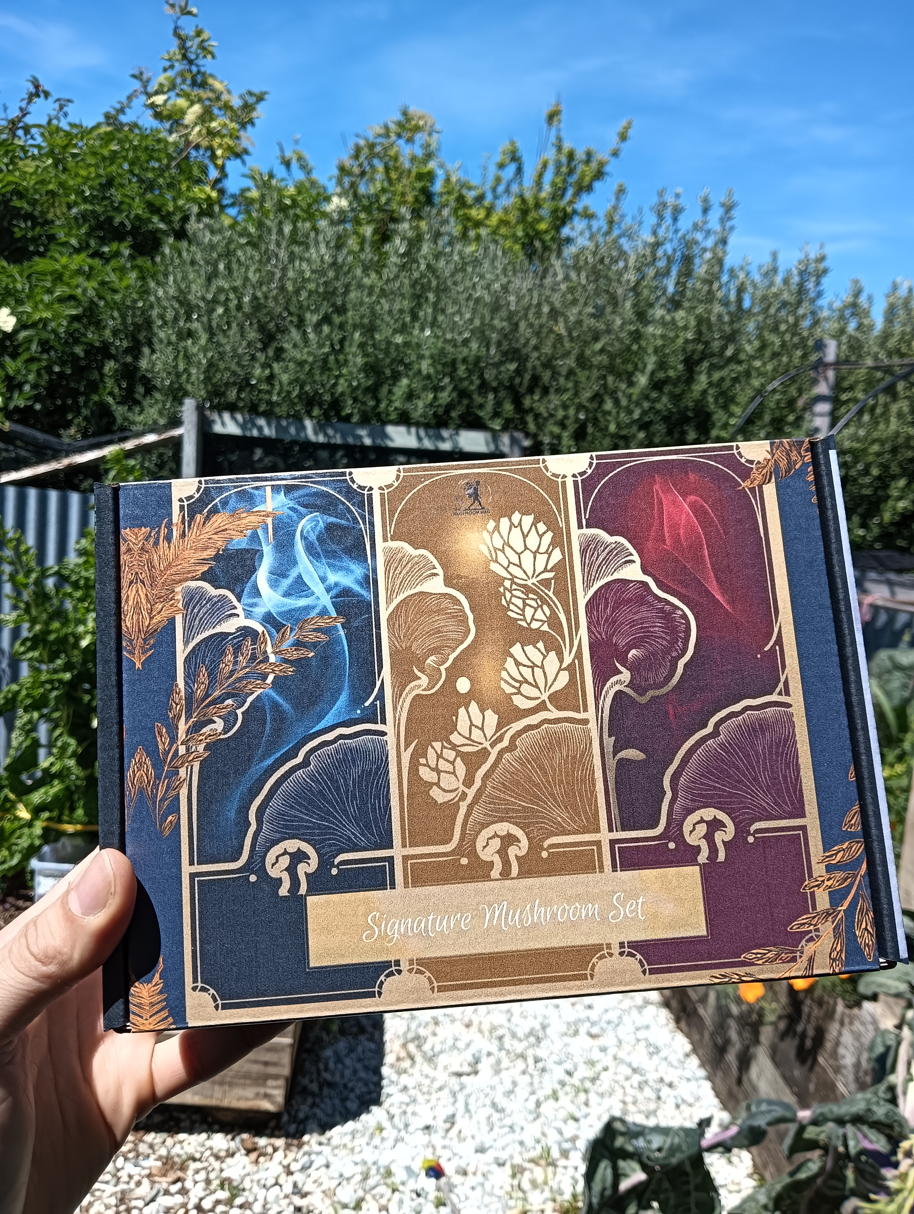 Signature Mushroom Gift Box - Jerky