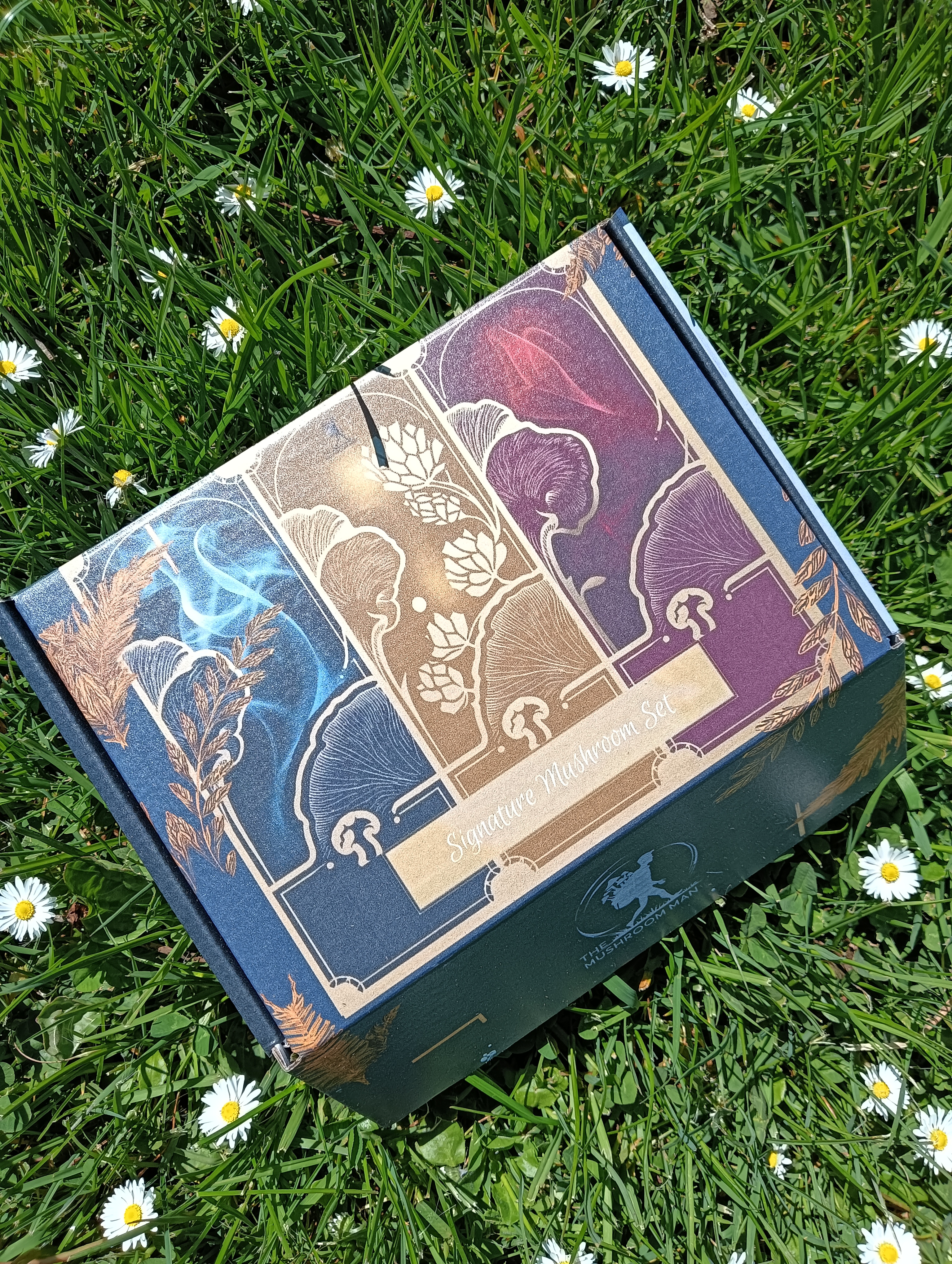 Signature Mushroom Gift Box
