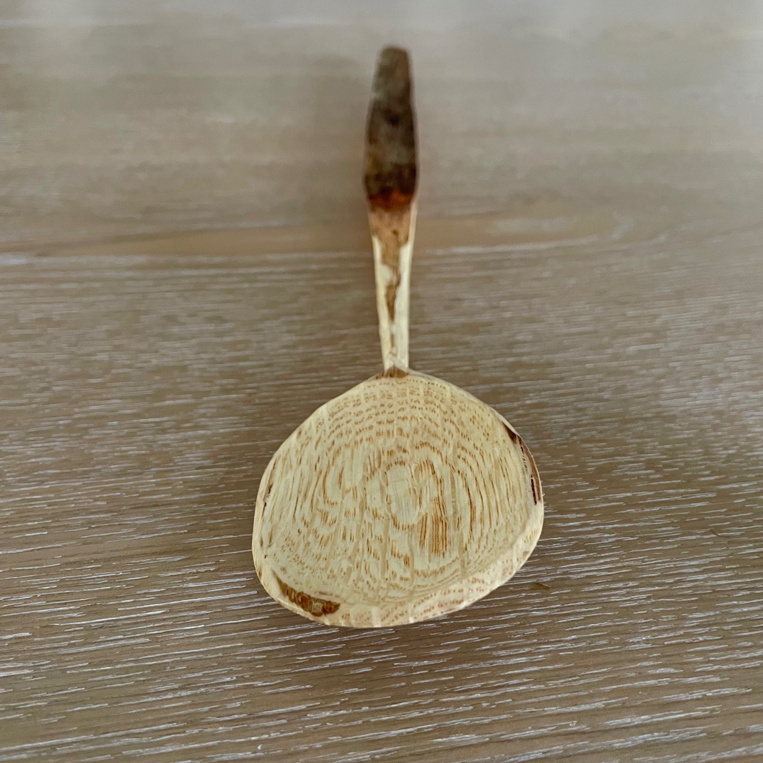 11" Natural Bark Oak serving spoon