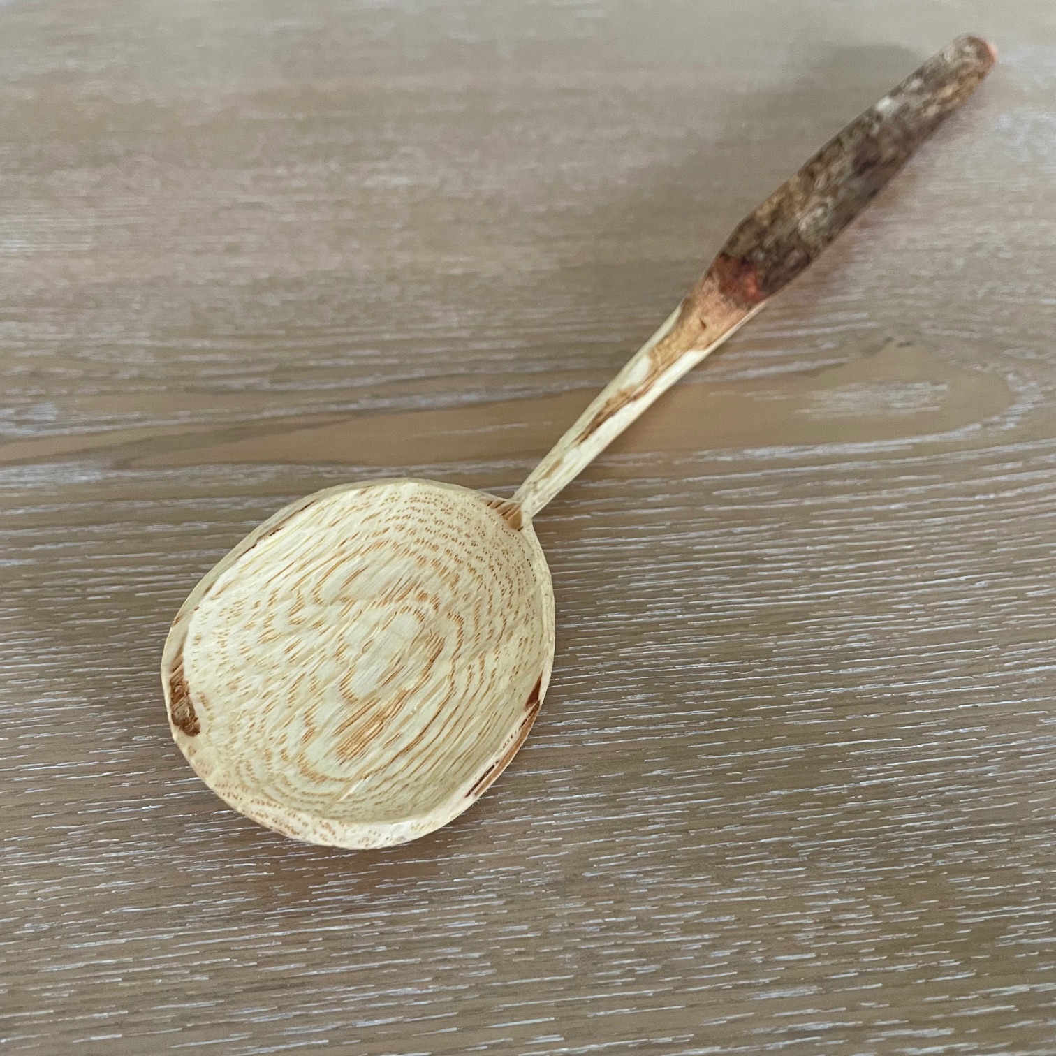 11" Natural Bark Oak serving spoon