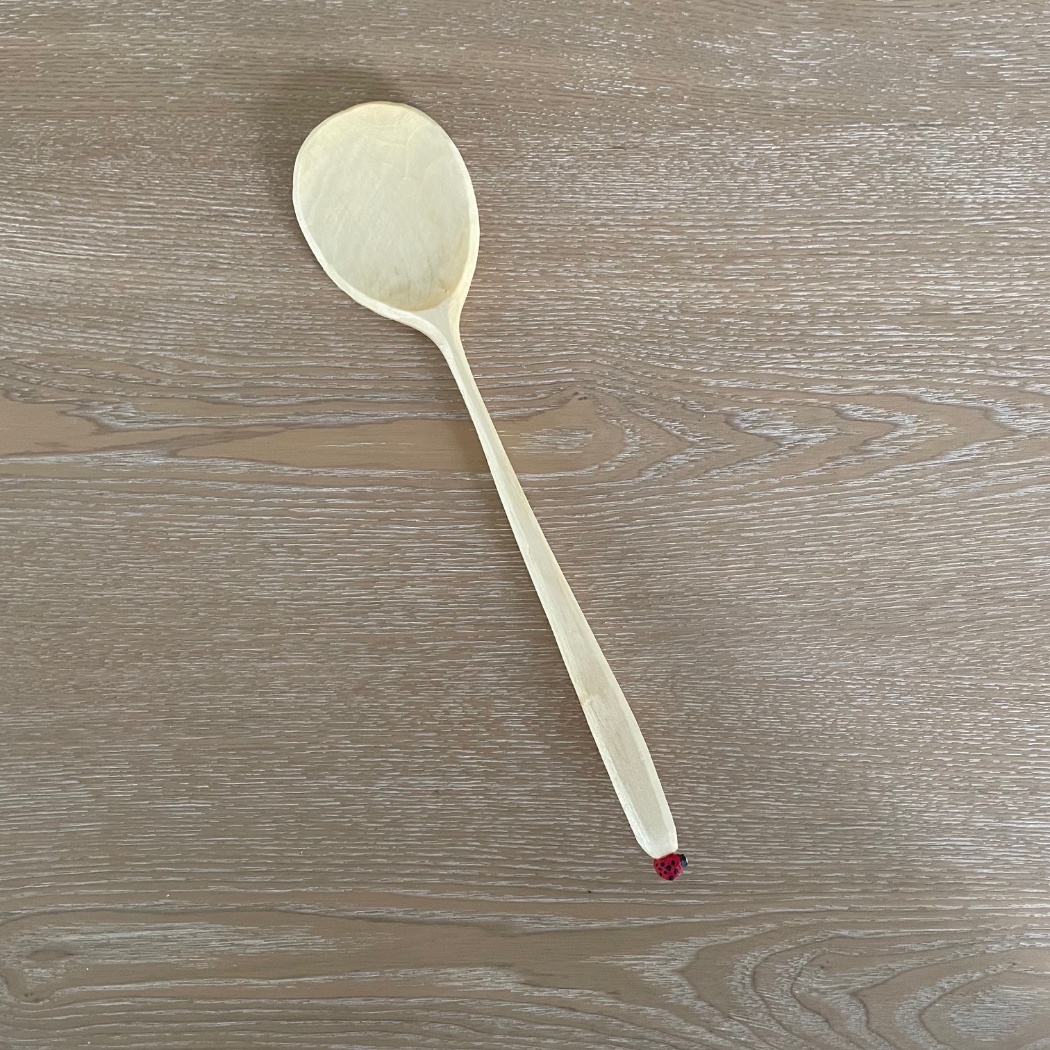 12" Ladybug spoon