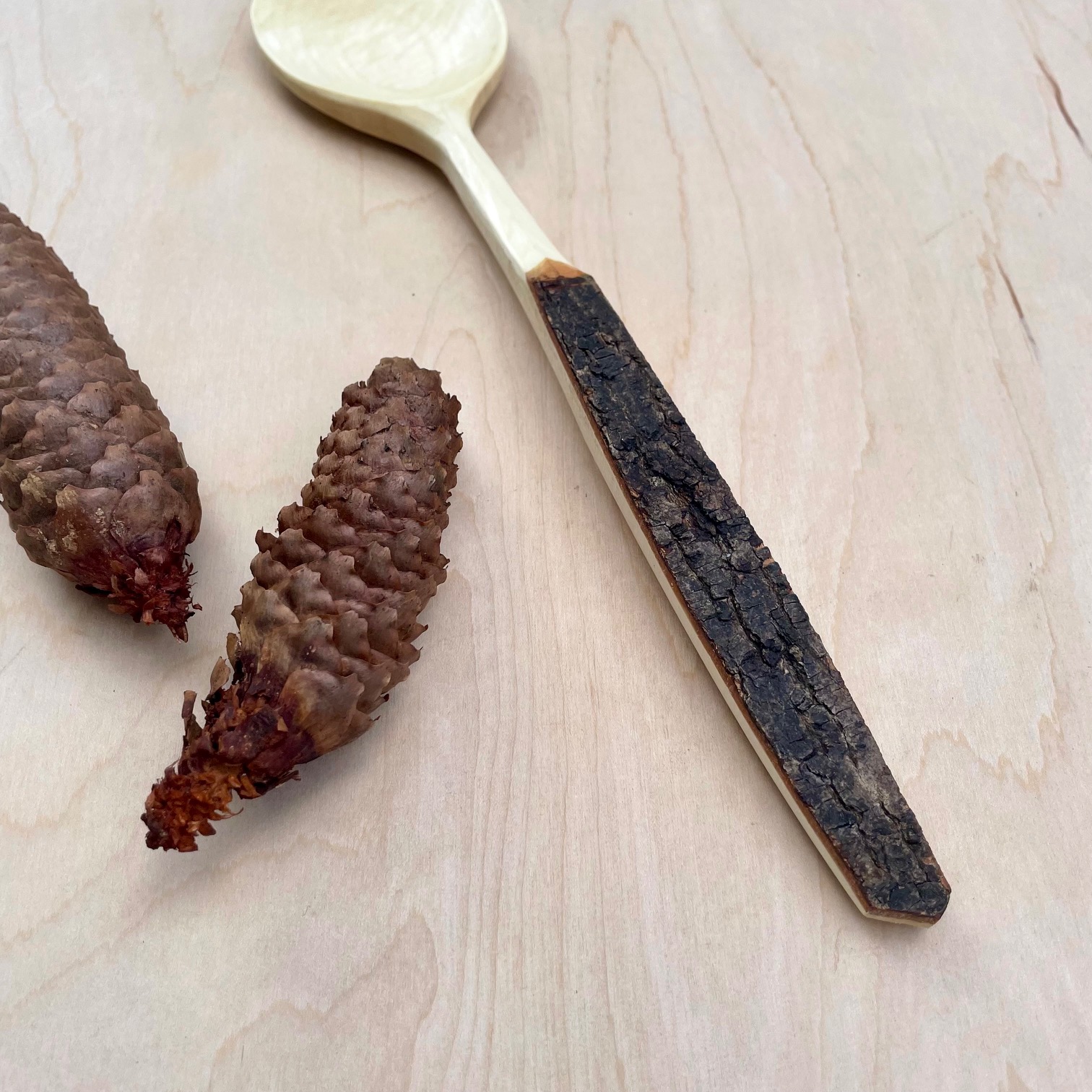 Tree-to-Table Spoon