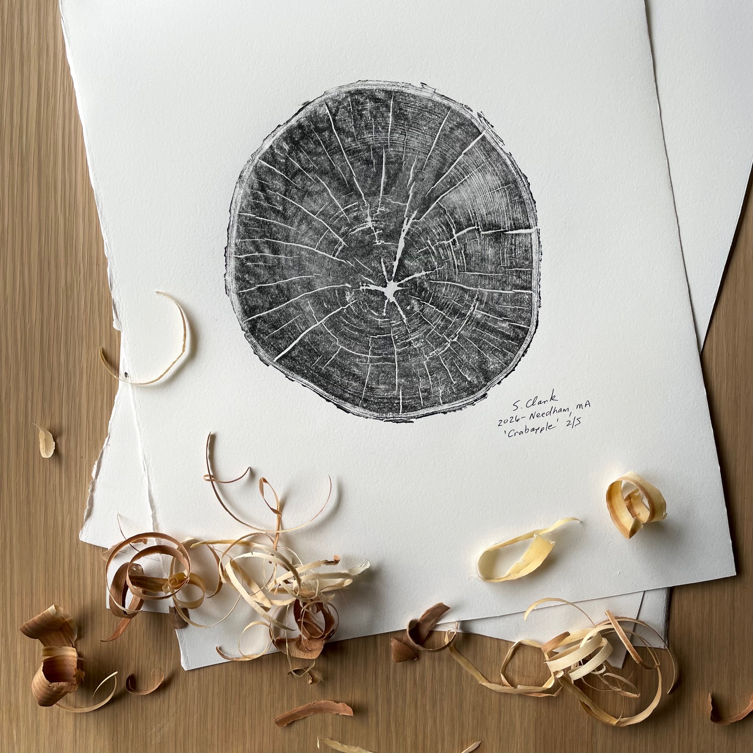 Tree Ring Print -- Storm Drop Log No. 3