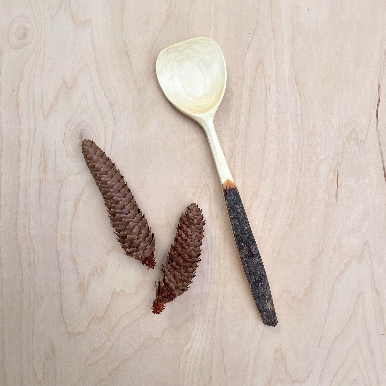 Tree-to-Table Spoon