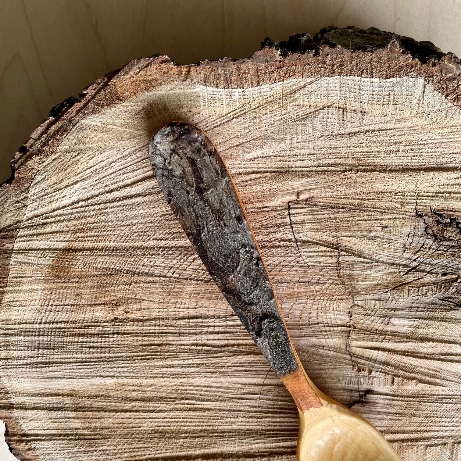 Tree-to-Table Eating Spoon
