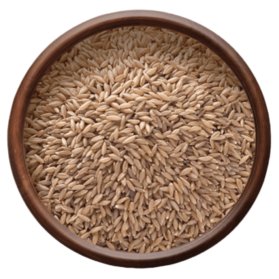 Nilgiris Bamboo Rice — Hand-Harvested by Tribal Communities from Flowering Bamboo