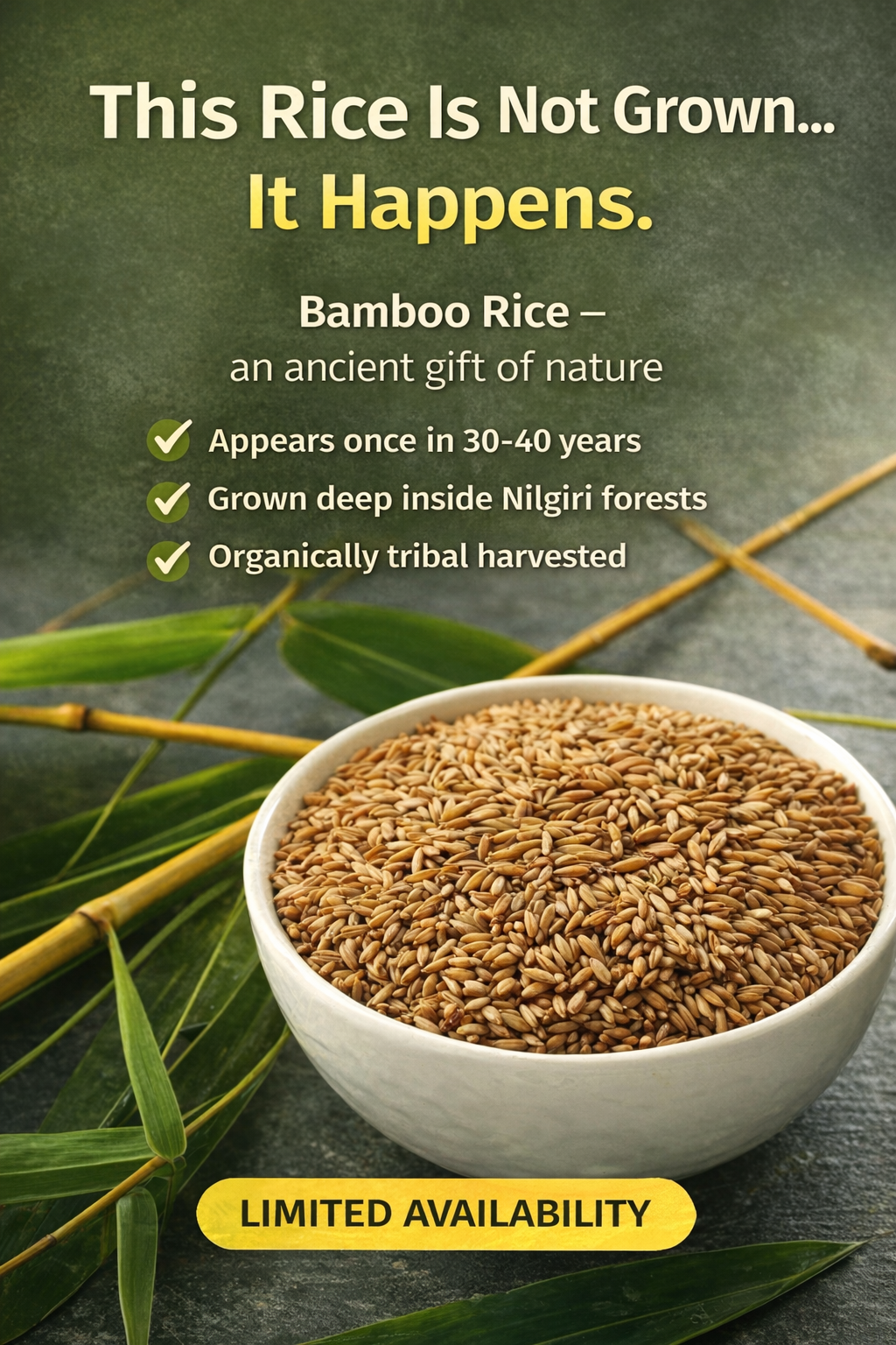 Nilgiris Bamboo Rice — Hand-Harvested by Tribal Communities from Flowering Bamboo