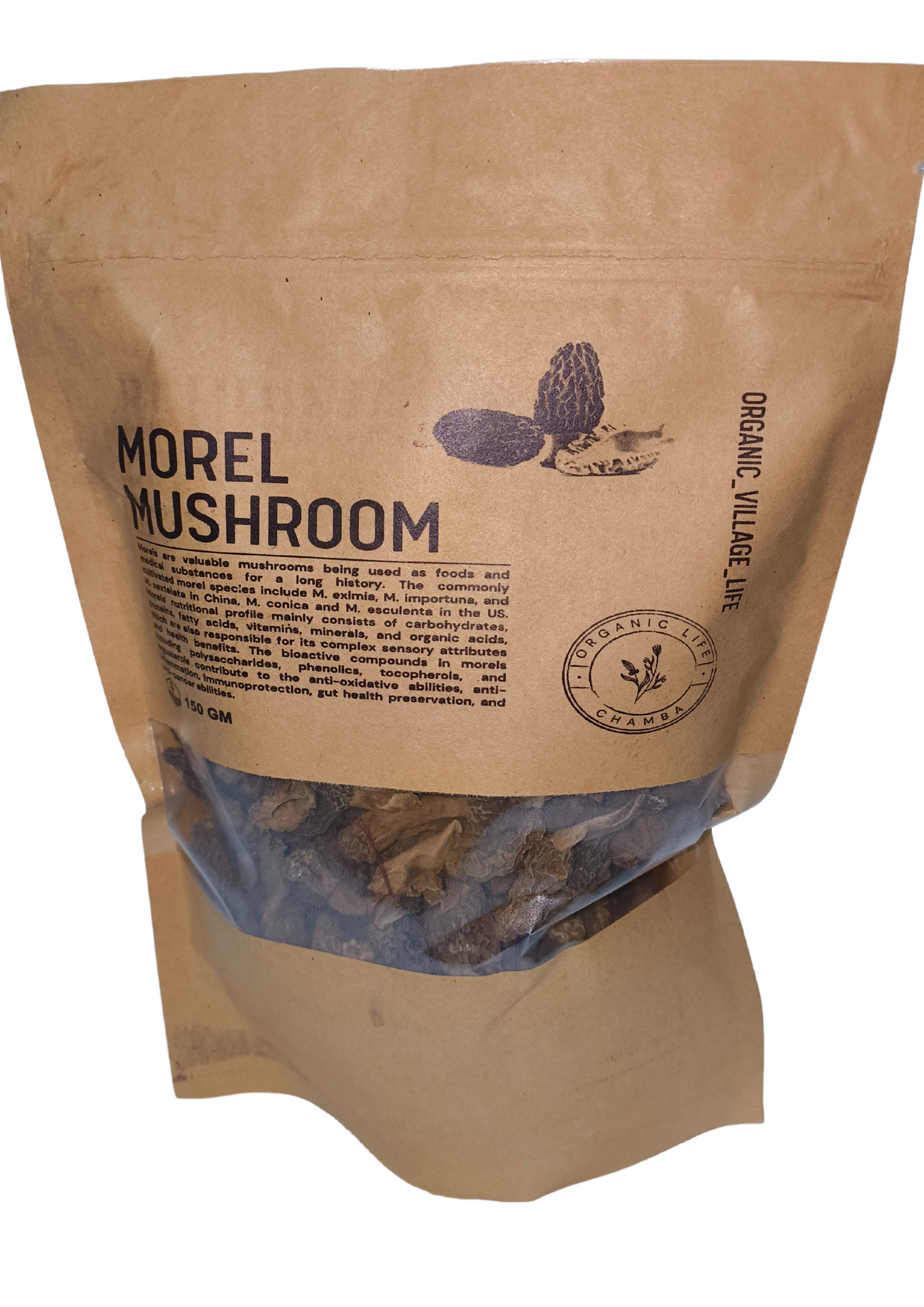 Morel Mushroom
