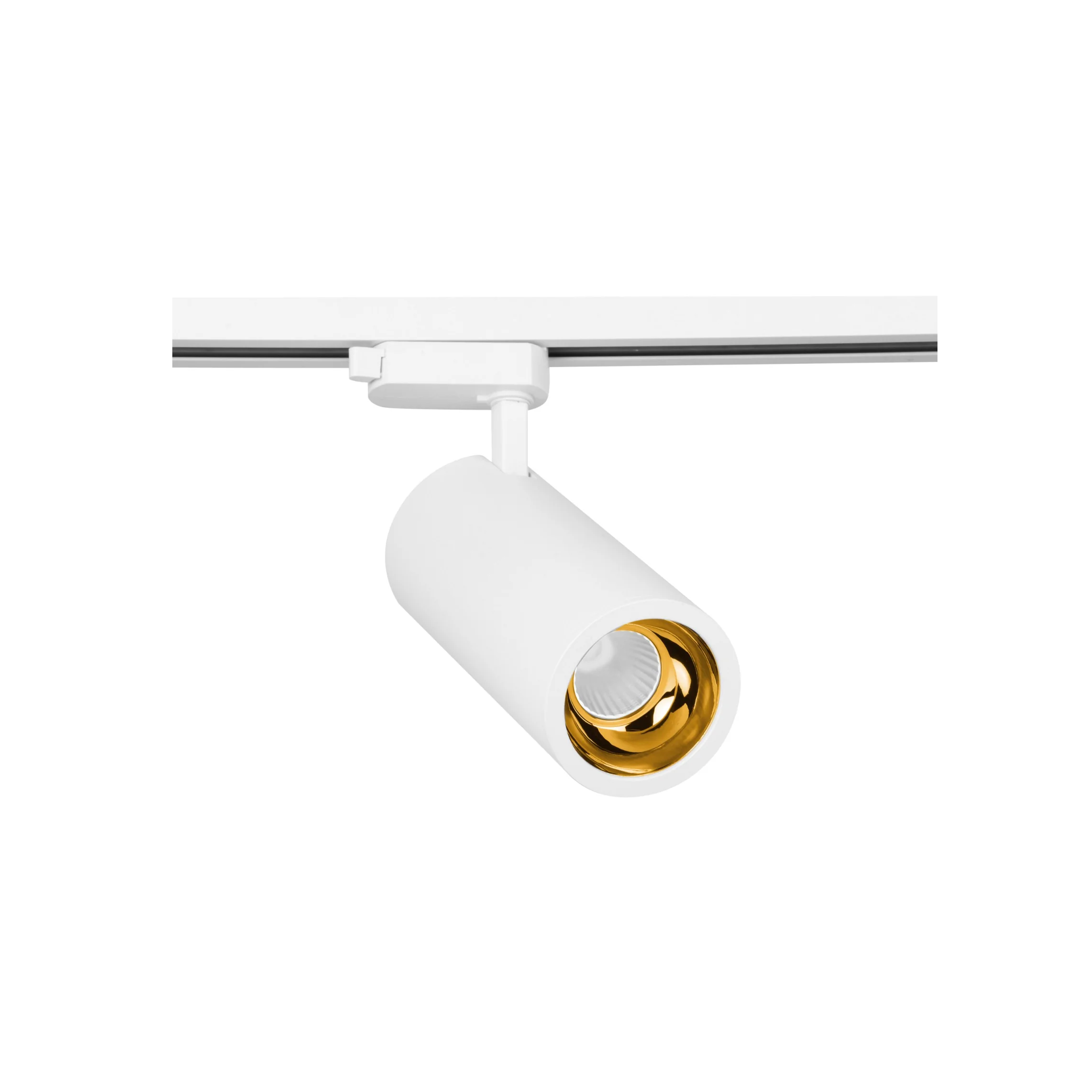 Pro Track Light
